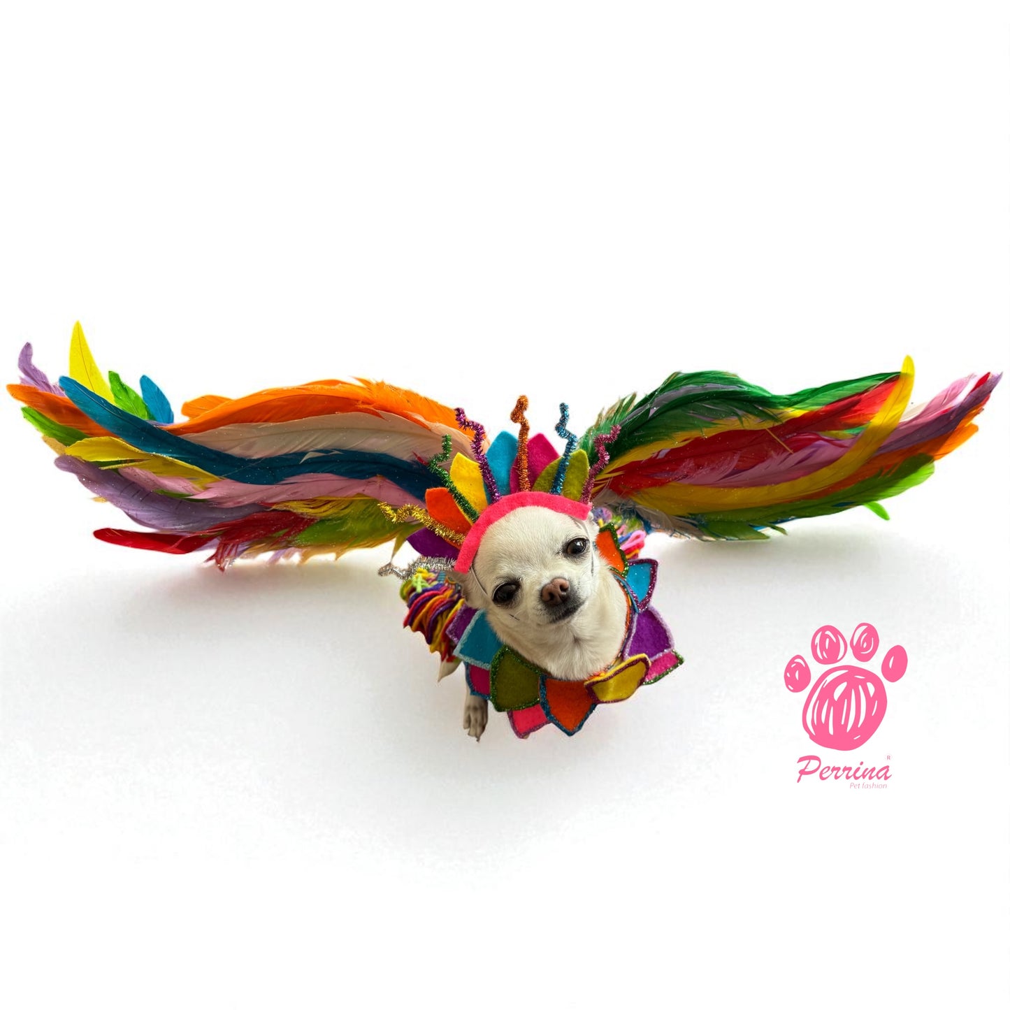 Alebrije con Alas Desmontables
