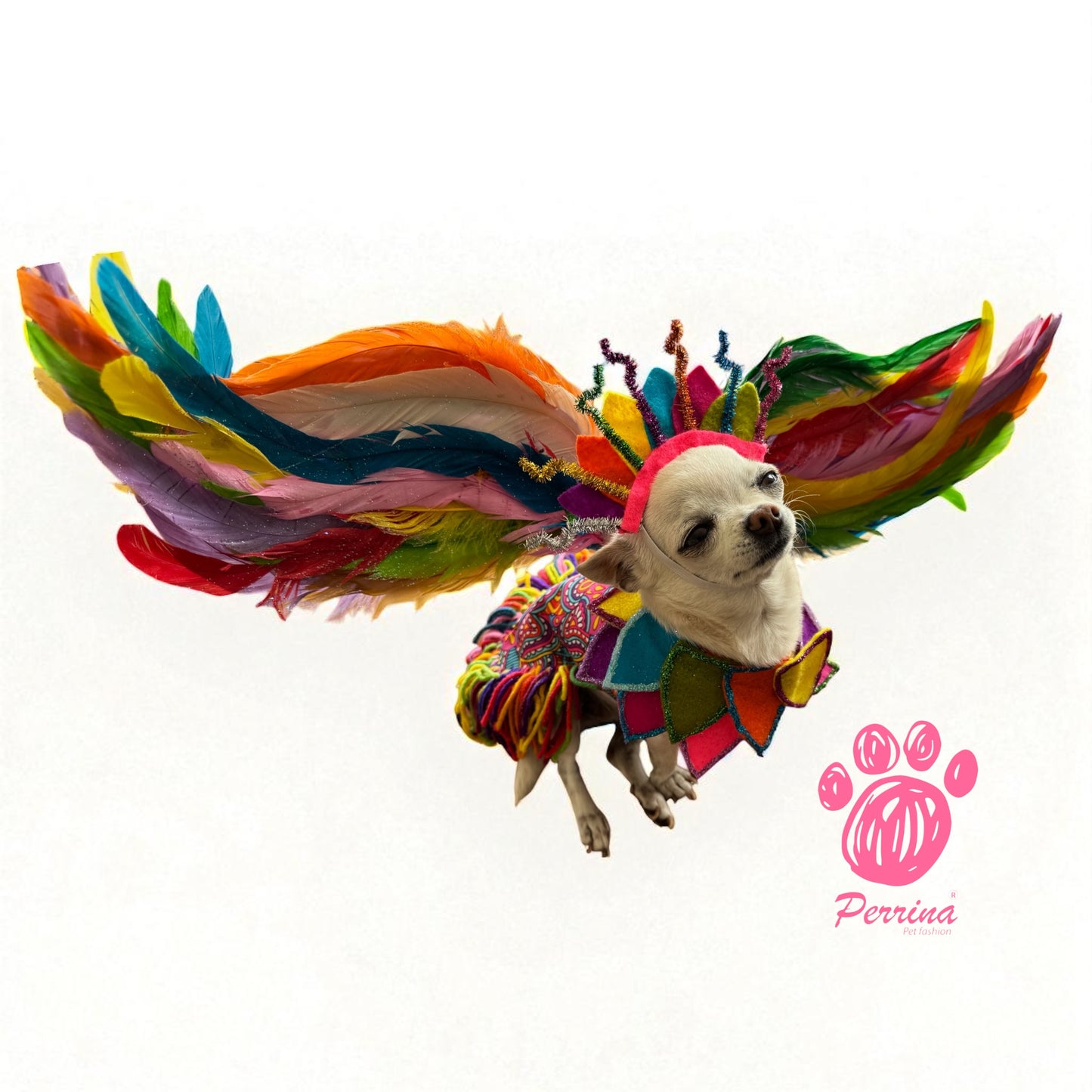Alebrije con Alas Desmontables