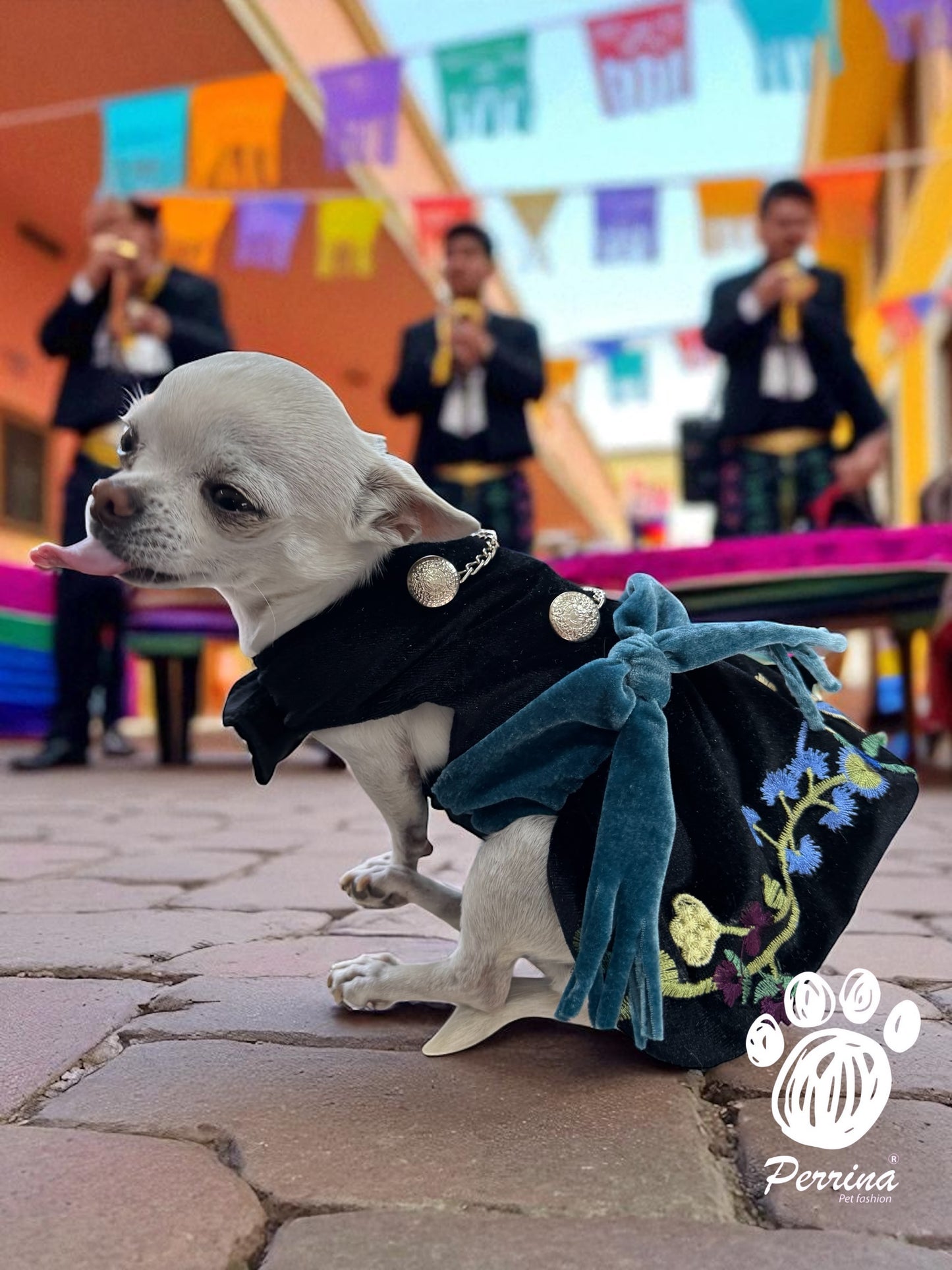 Vestido Charro de Gala Azul