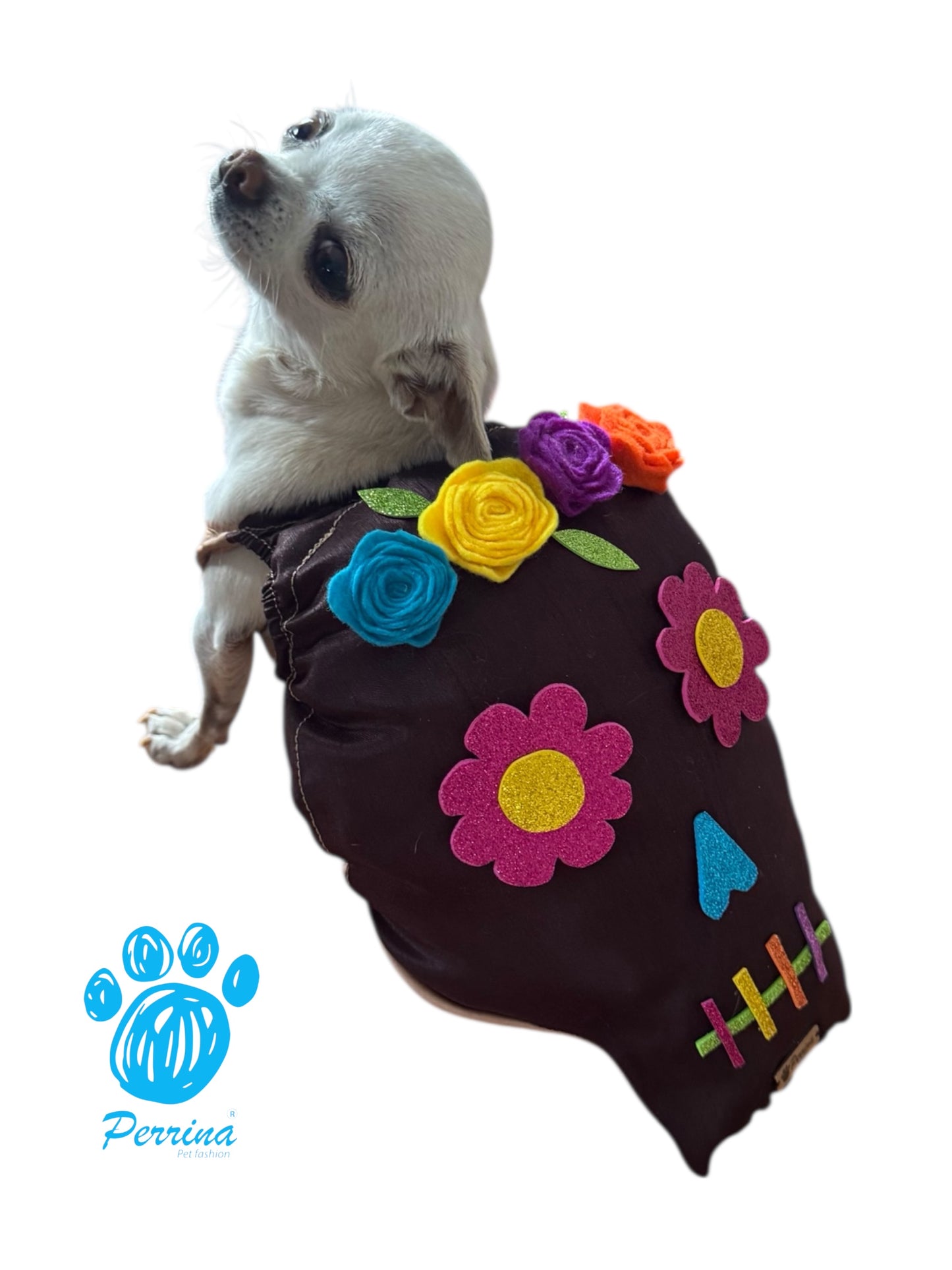 Disfraz Calaverita de Chocolate