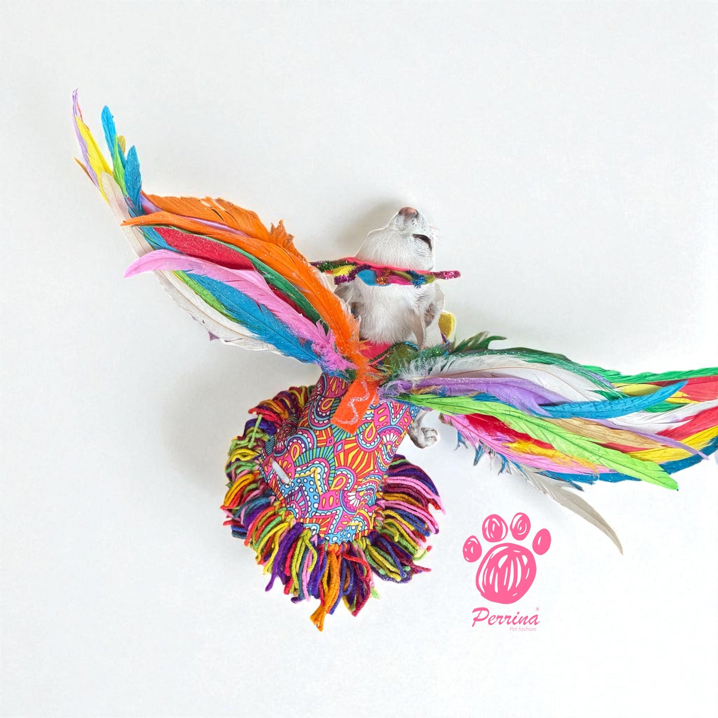 Alebrije con Alas Desmontables