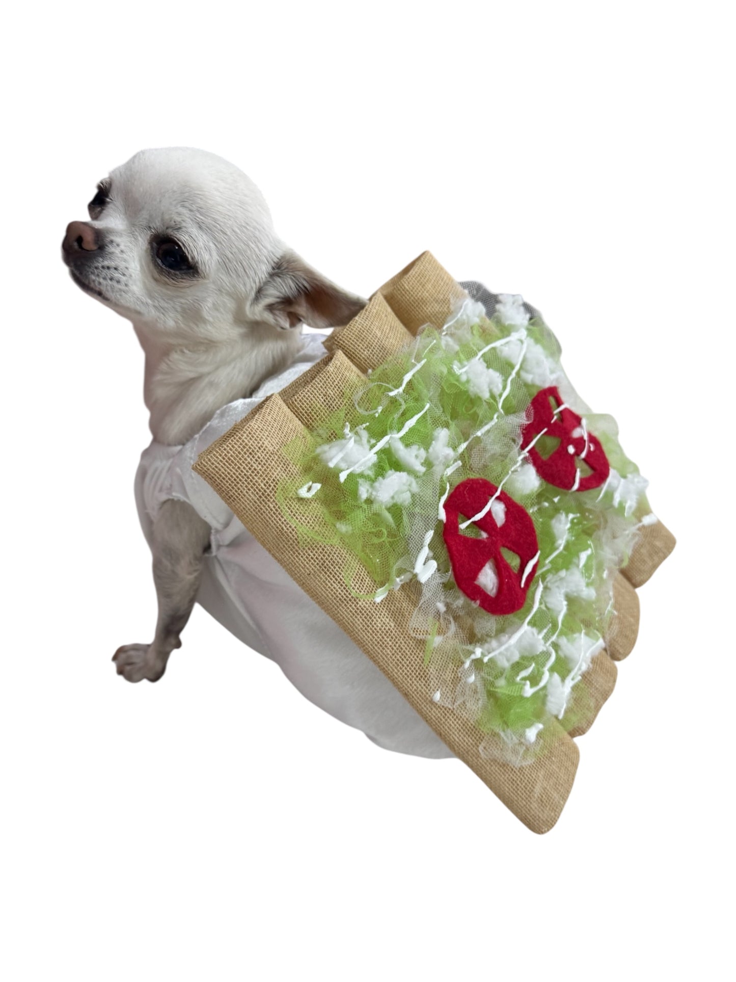 Disfraz Tacos Dorados