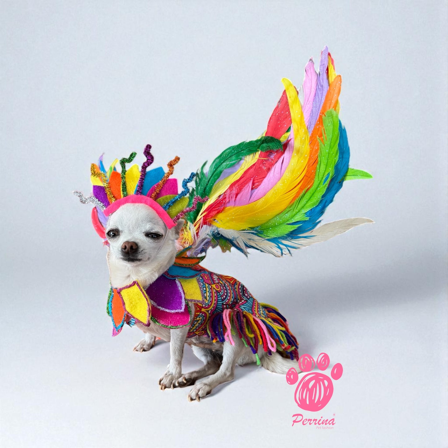 Alebrije con Alas Desmontables