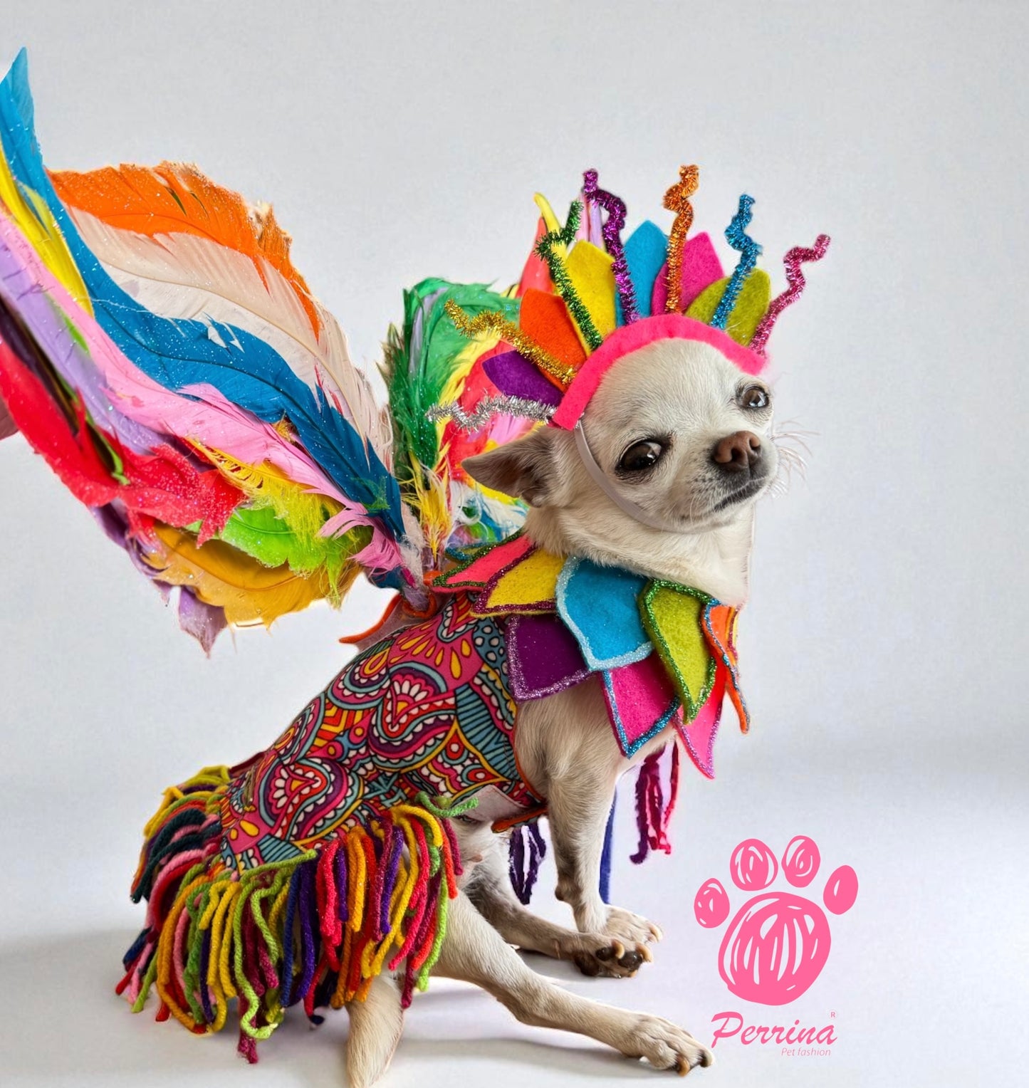 Alebrije con Alas Desmontables
