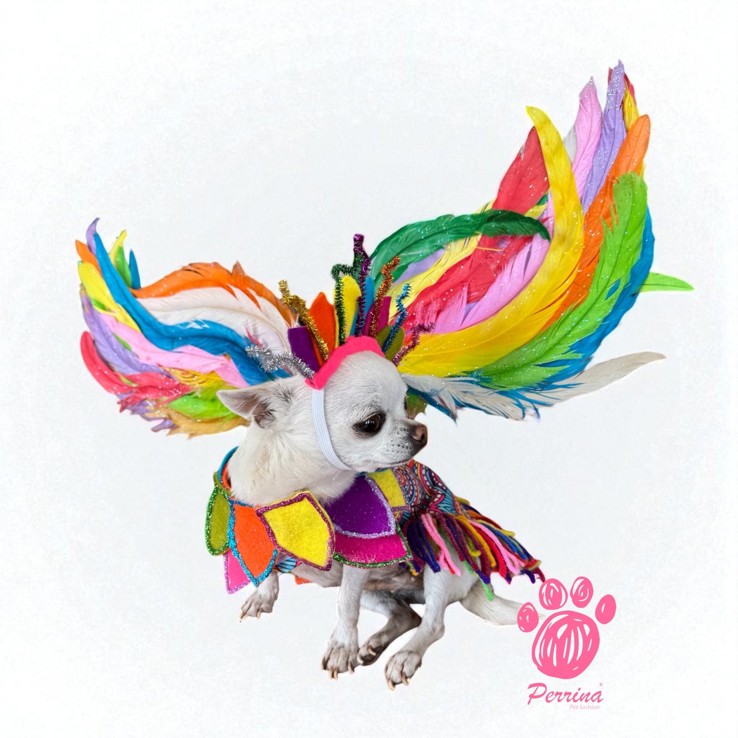 Alebrije con Alas Desmontables