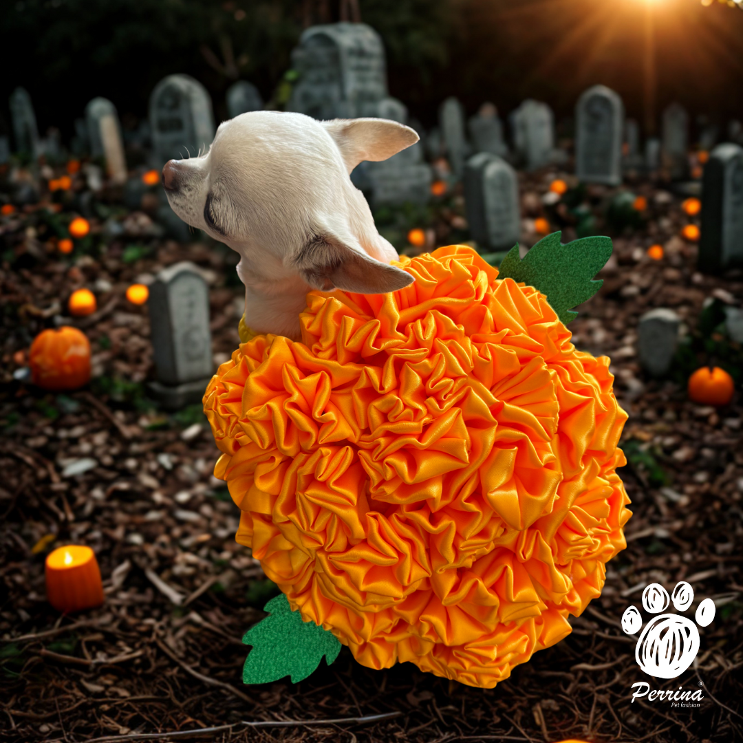 Disfraz de flor de cempasúchil / día de muertos