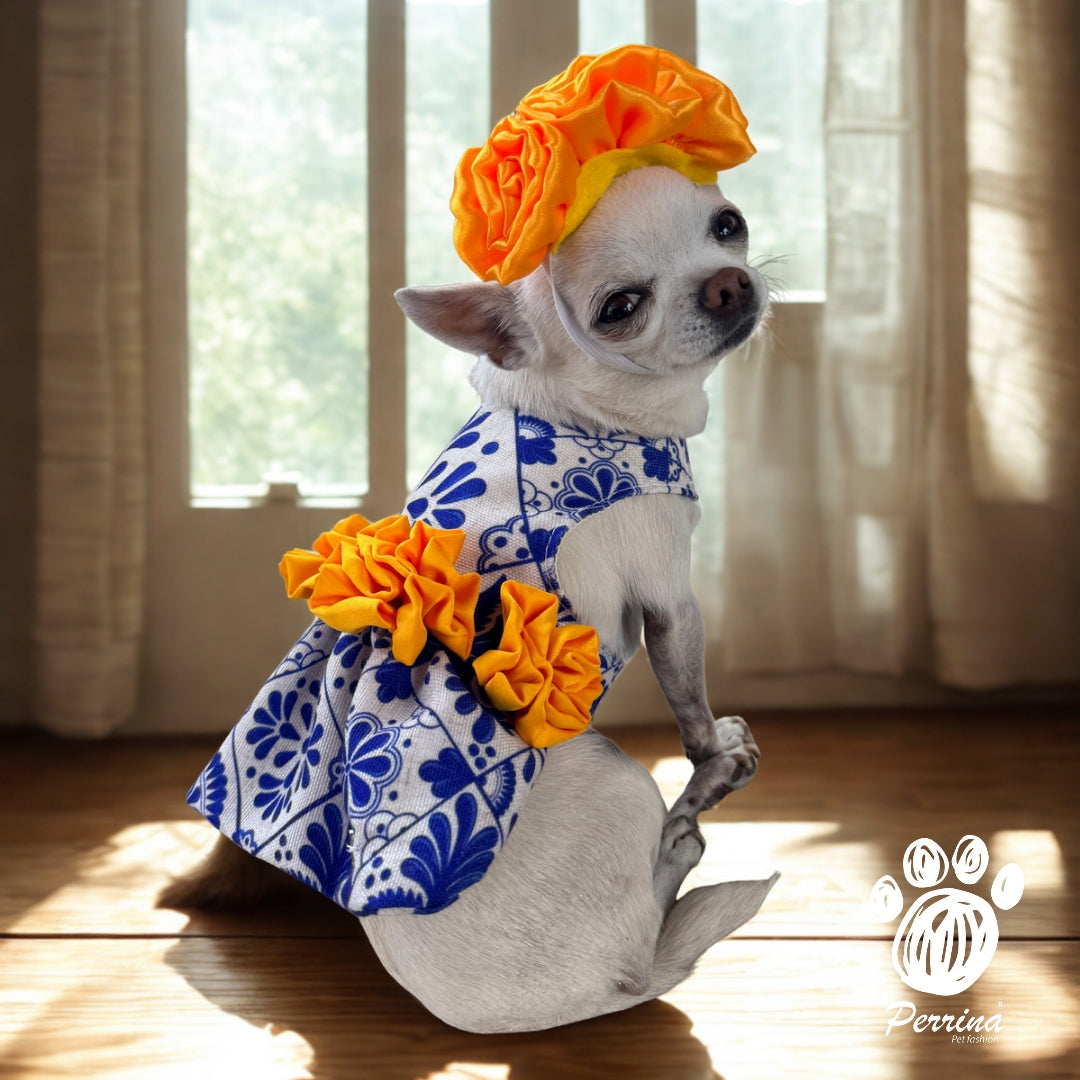 PERRINA DISFRAZ DE TALAVERA PARA PERRO Y GATO TODAS LAS TALLAS