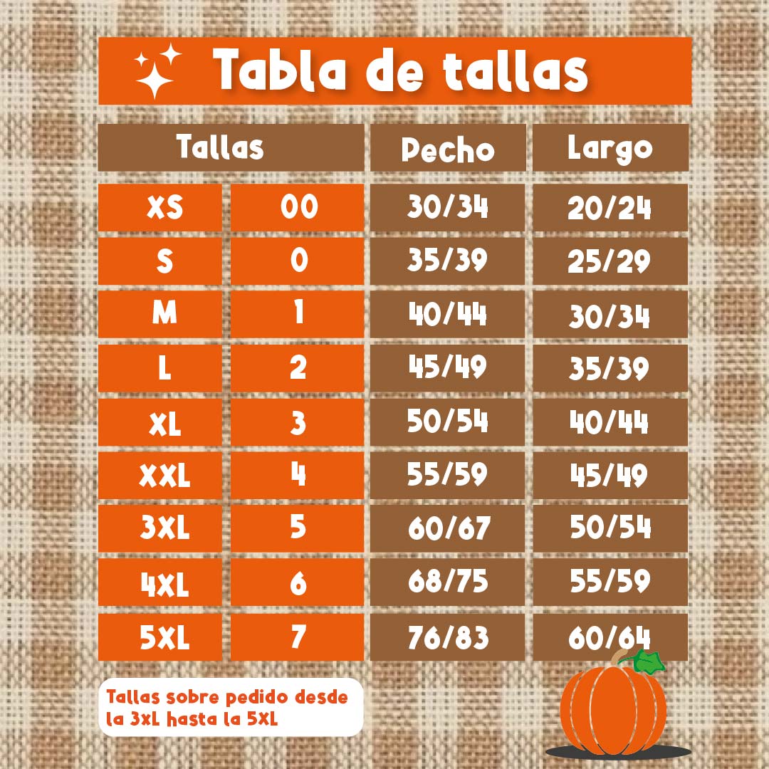 Disfraz Espantapájaros Niño