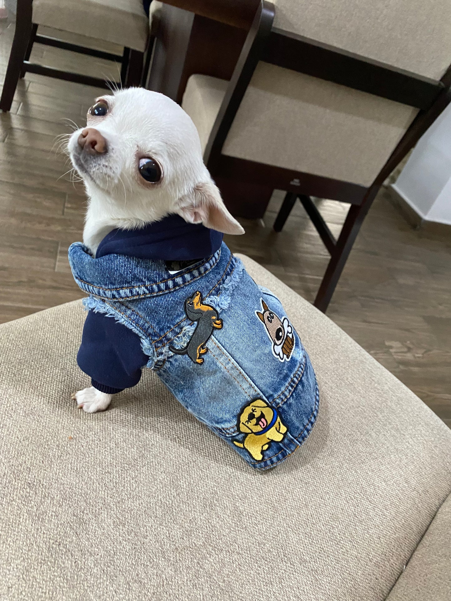 Chaleco Denim Puppies + Hoddie