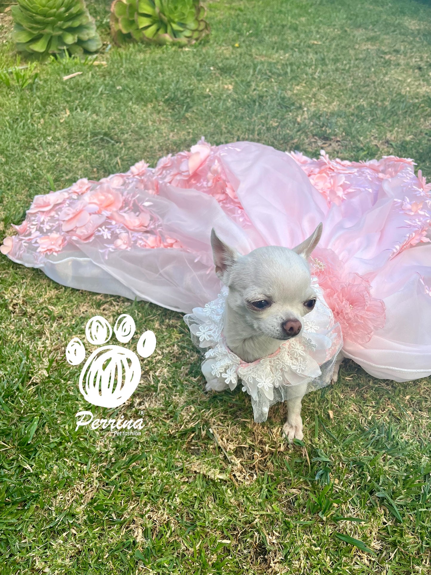 Vestido de Gala Princess Pink. (Tiempo de entrega 3 semanas)