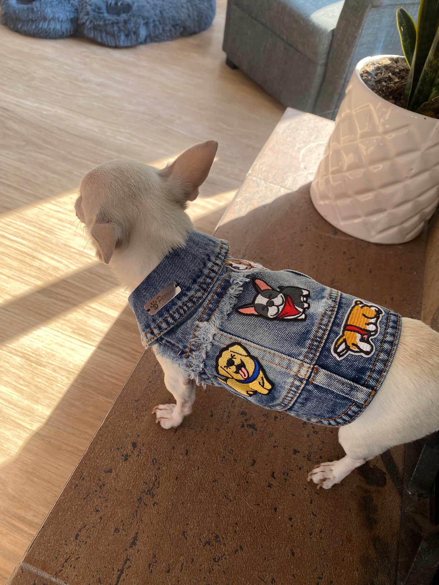 Chaleco Denim Parches Puppies