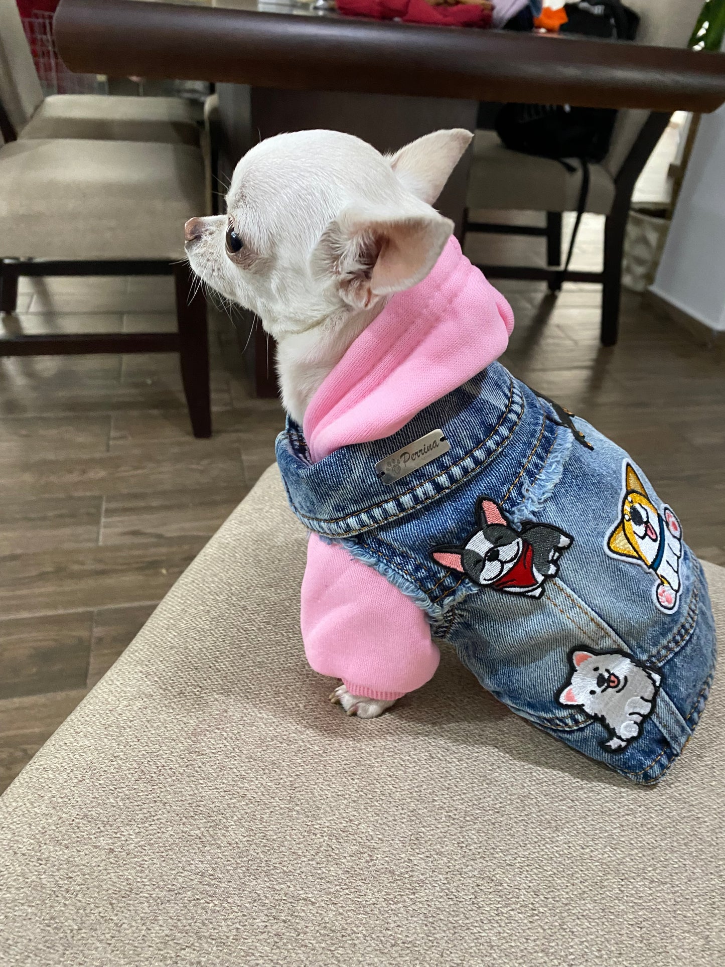 Chaleco Denim Puppies + Hoddie