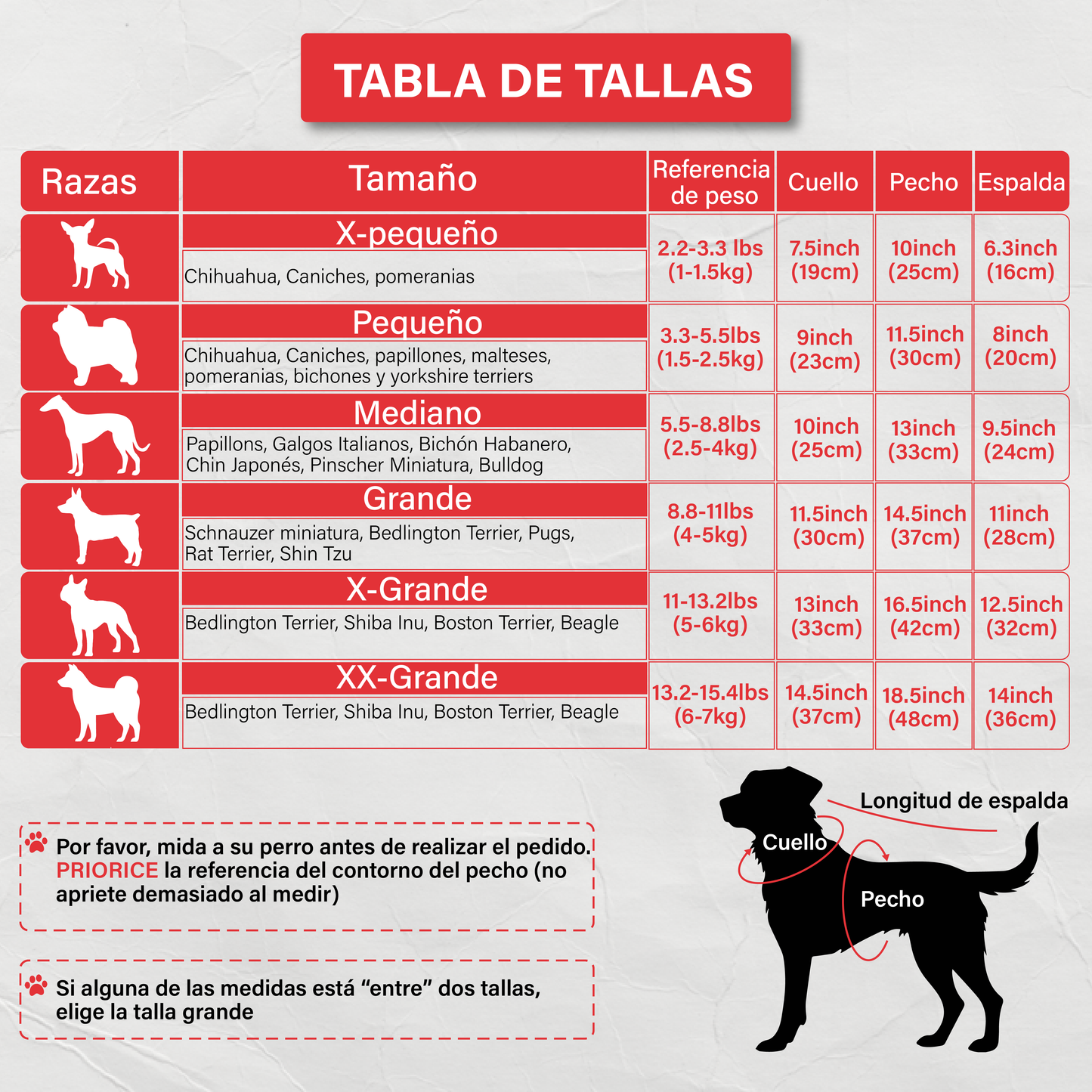 Disfraz Enchiladas Verdes