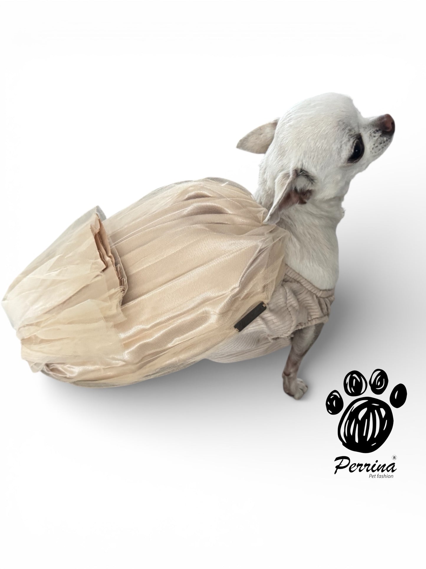 Disfraz de Tamal