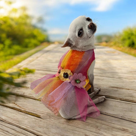 Vestido Arcoíris Floral