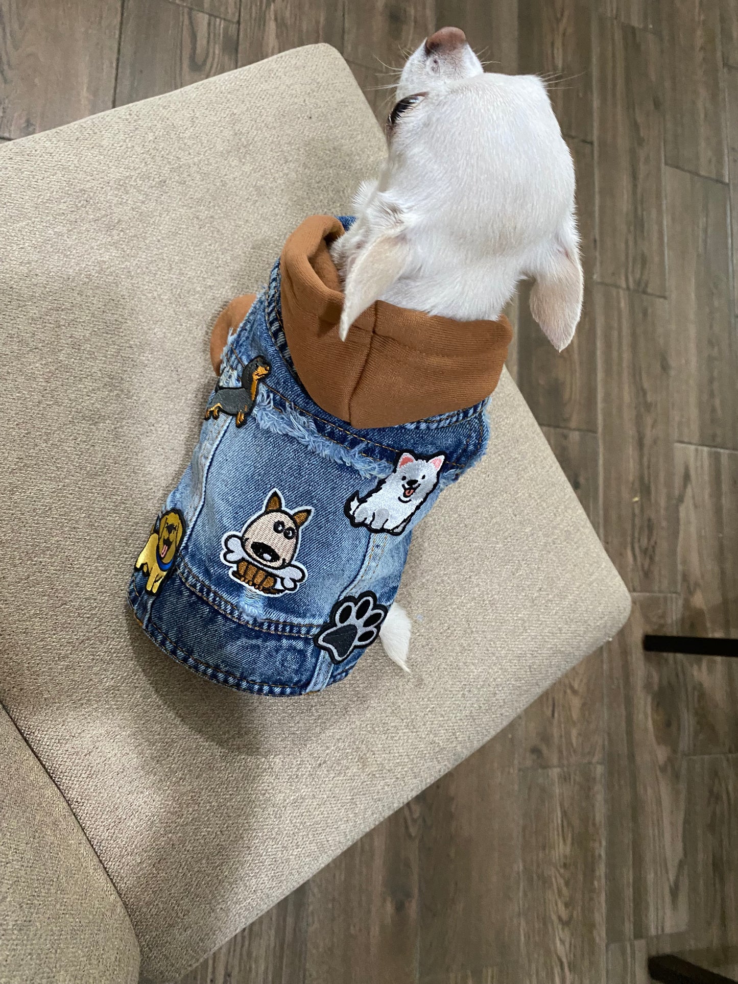 Chaleco Denim Puppies + Hoddie