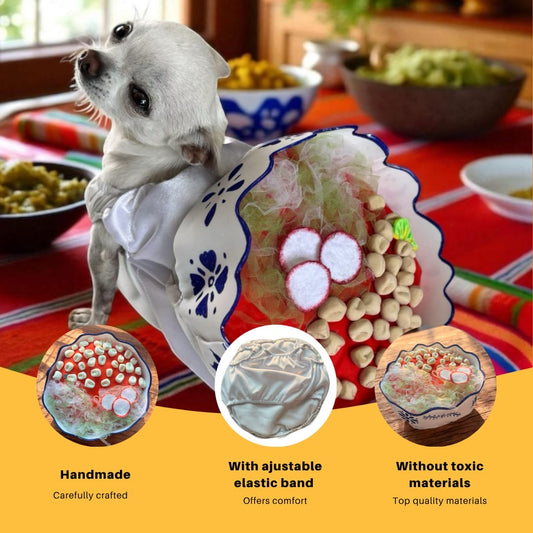 Disfraz de Pozole Hecho a Mano