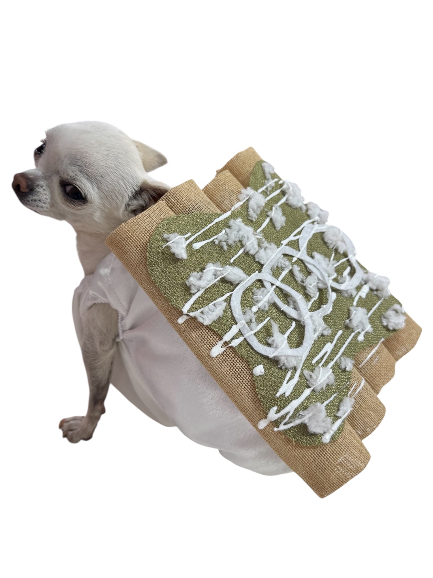 Disfraz Enchiladas Verdes