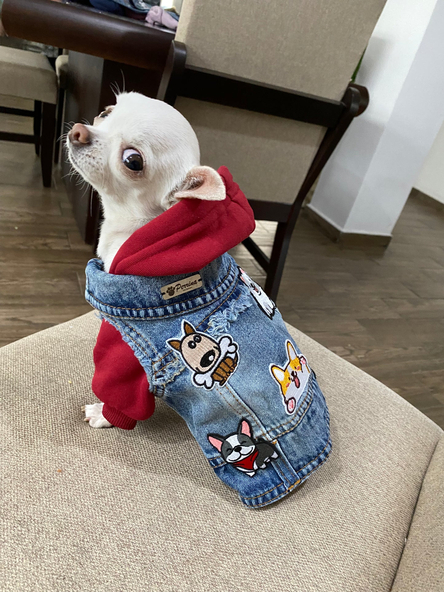 Chaleco Denim Puppies + Hoddie