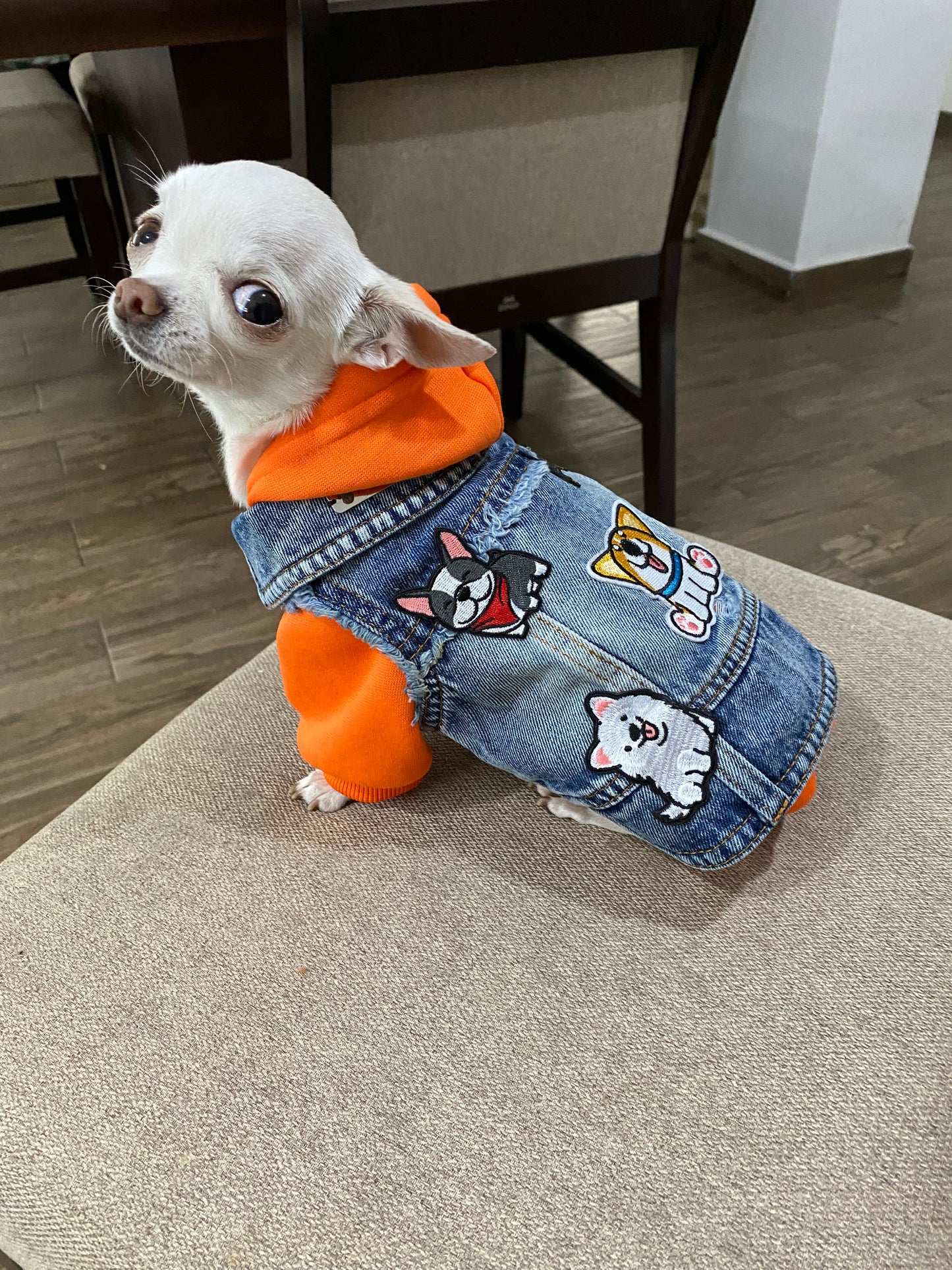 Chaleco Denim Puppies + Hoddie