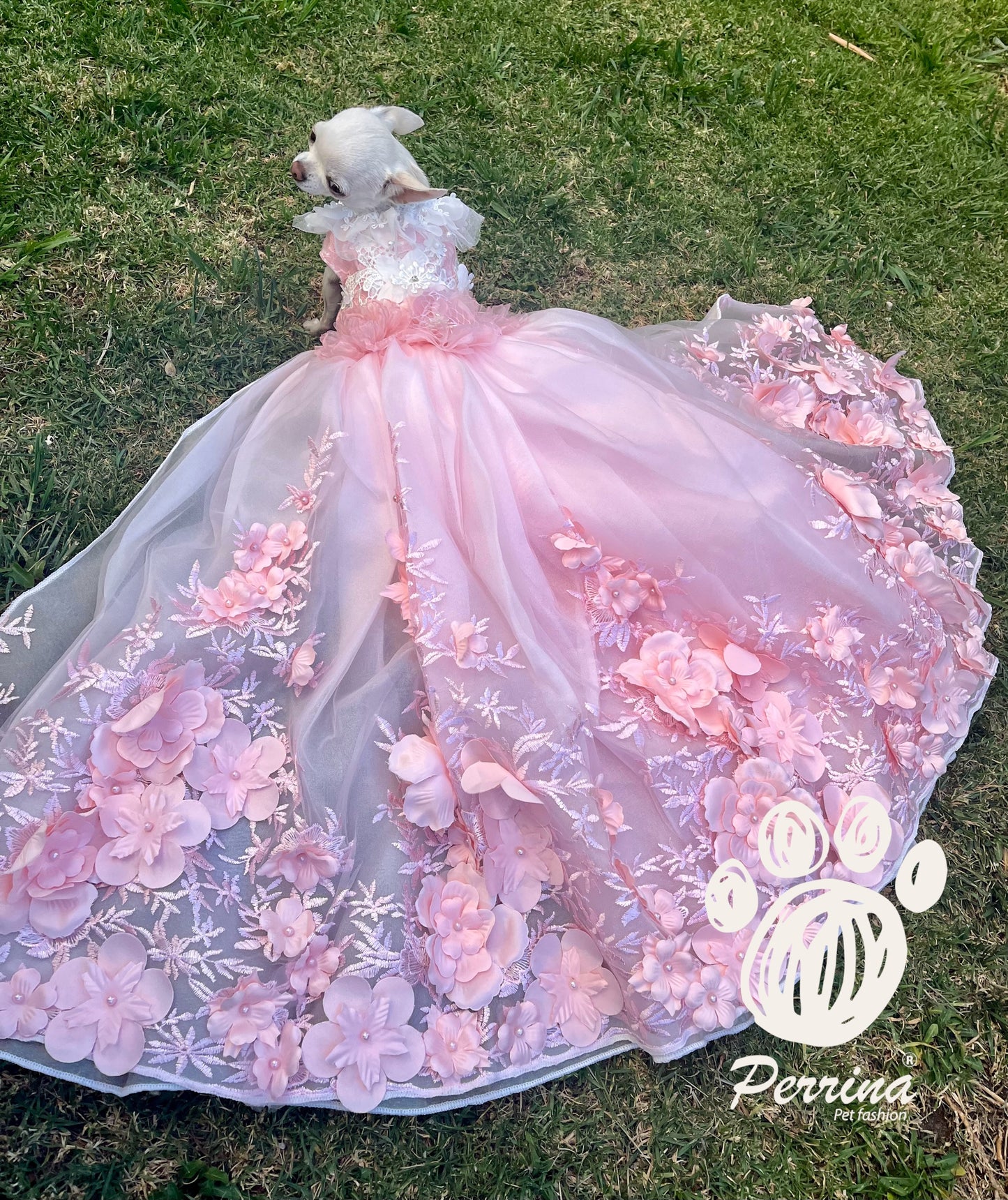 Vestido de Gala Princess Pink. (Tiempo de entrega 3 semanas)