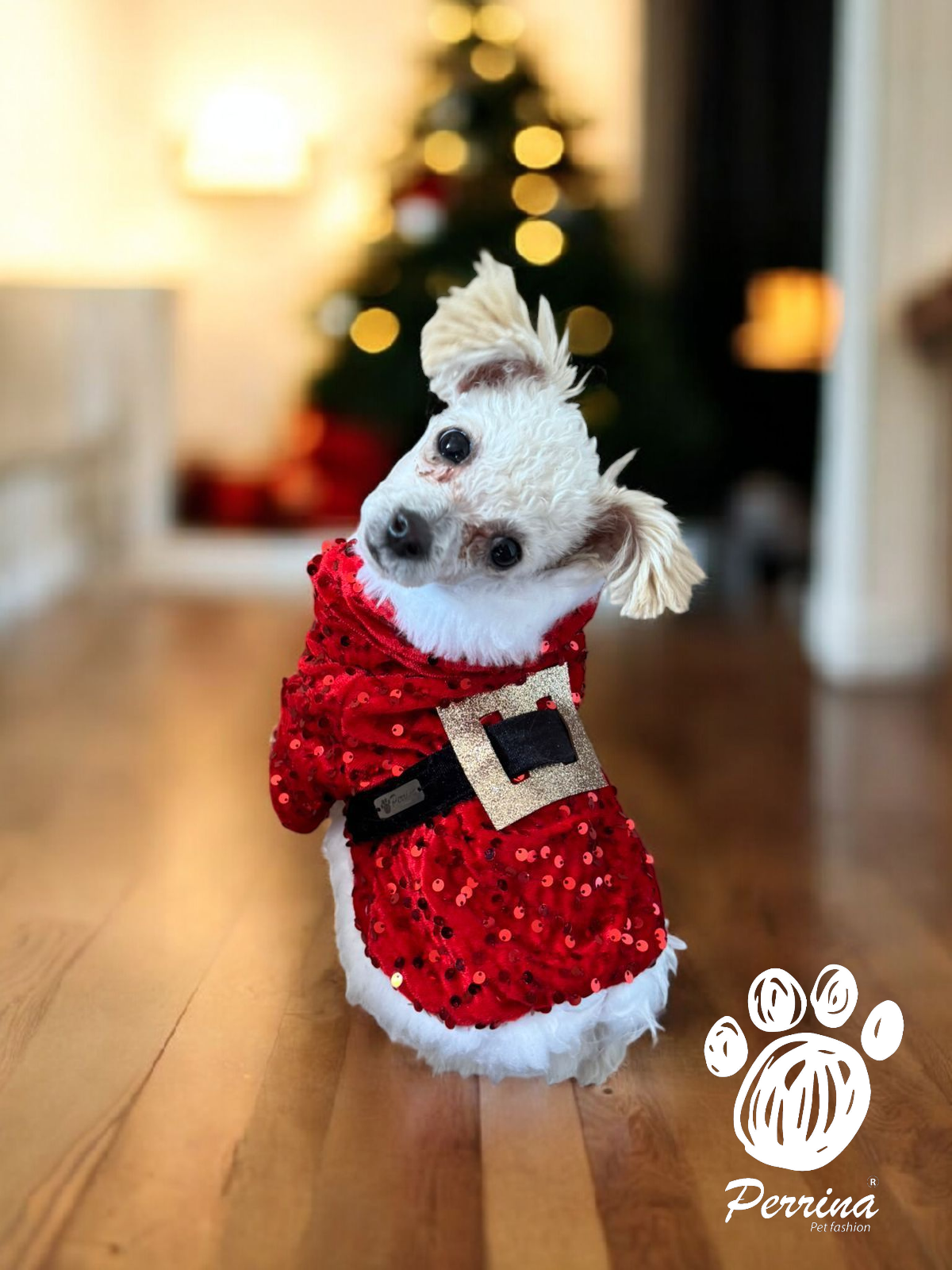 PERRINA capa de Santa Clous para navidad, Para perros y gatos razas chicas medianas y grandes