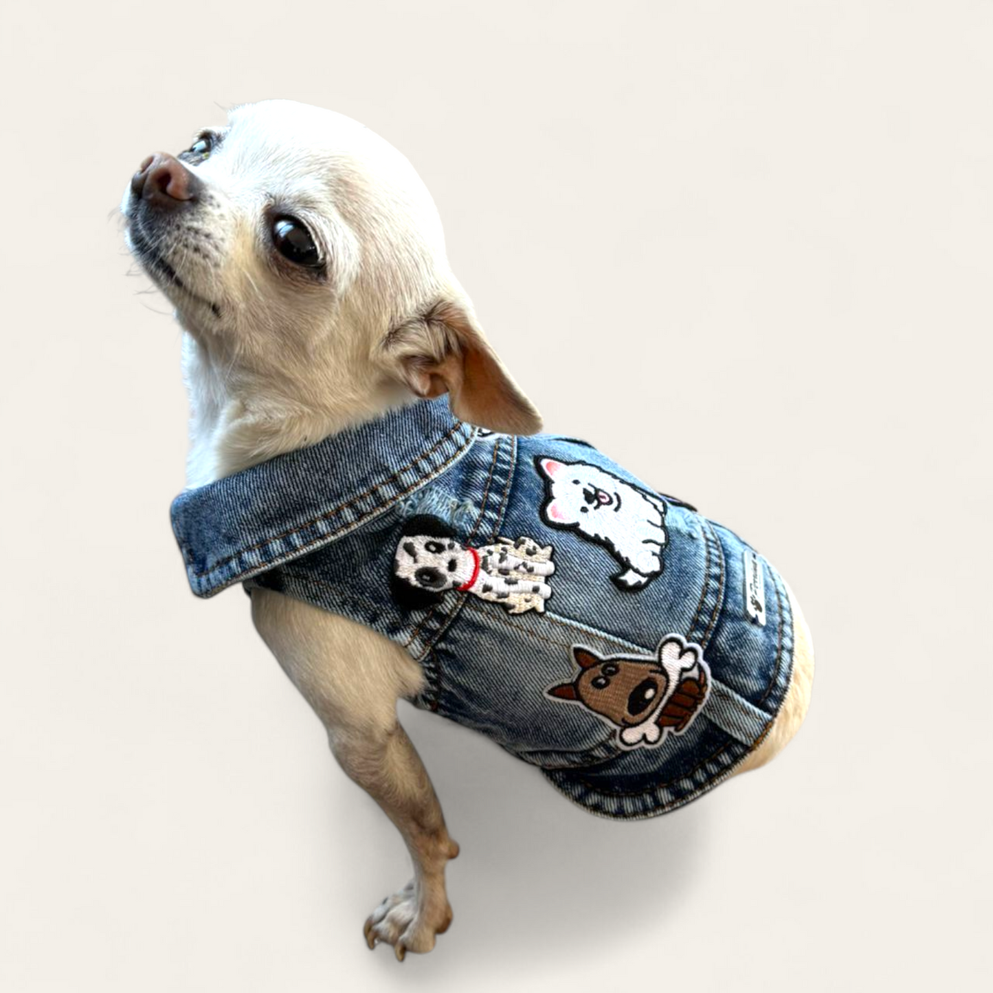 PERRINA chaleco denim con parches de perritos y huellita para mascotas, razas chicas medianas y grandes