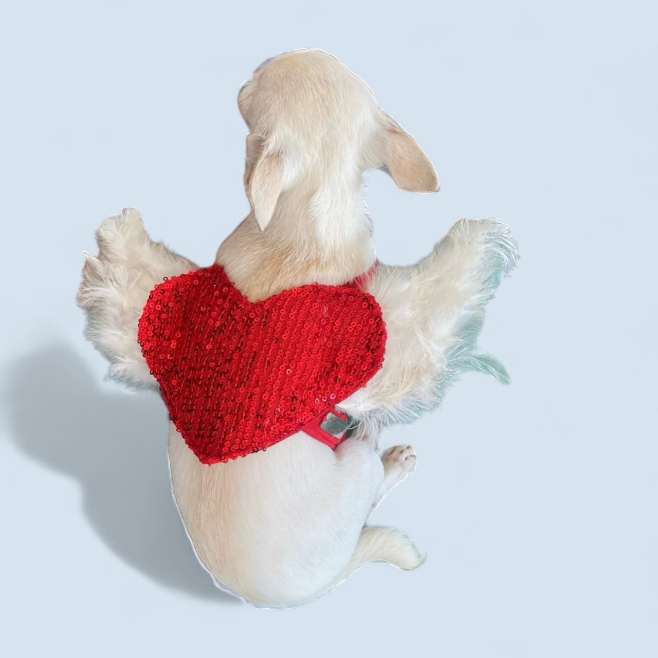 PERRINA arnés de corazón con alas con lentejuelas para perros y gatos razas chicas medianas y grandes