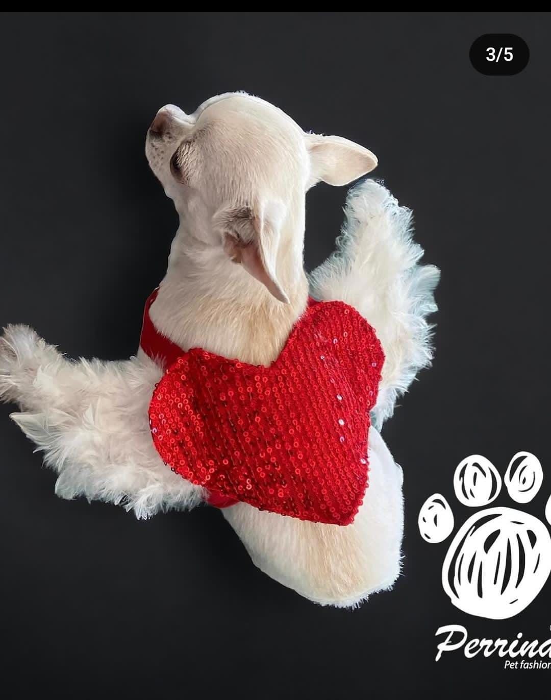 PERRINA arnés de corazón con alas con lentejuelas para perros y gatos razas chicas medianas y grandes
