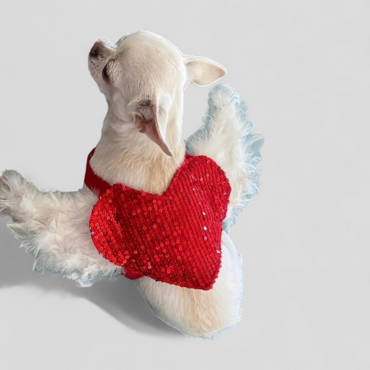 PERRINA arnés de corazón con alas con lentejuelas para perros y gatos razas chicas medianas y grandes