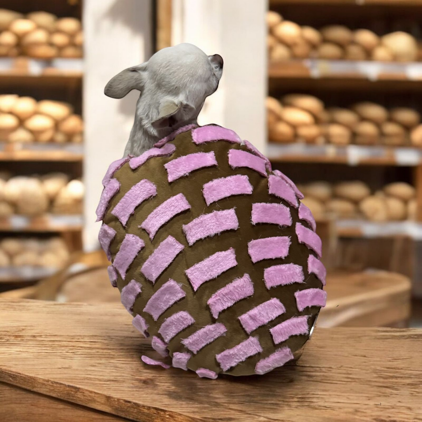 PERRINA disfraz de pan, Concha de chocolate, vainilla, fresa, para perros y gatos razas chicas medianas y grandes