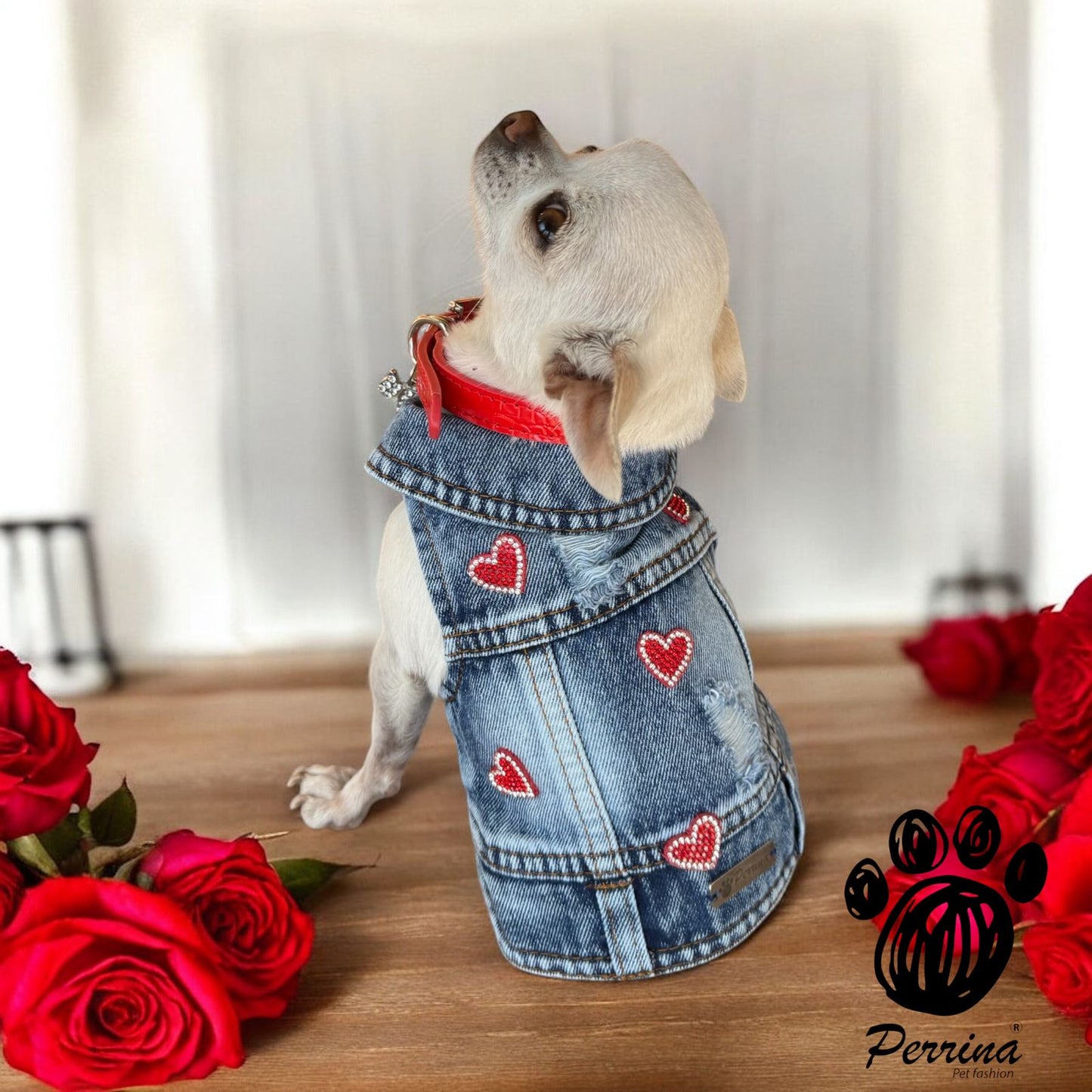 PERRINA chaleco denim con corazones rojos y brillitos para Mascota Perro y Gato, razas chicas medianas y grandes
