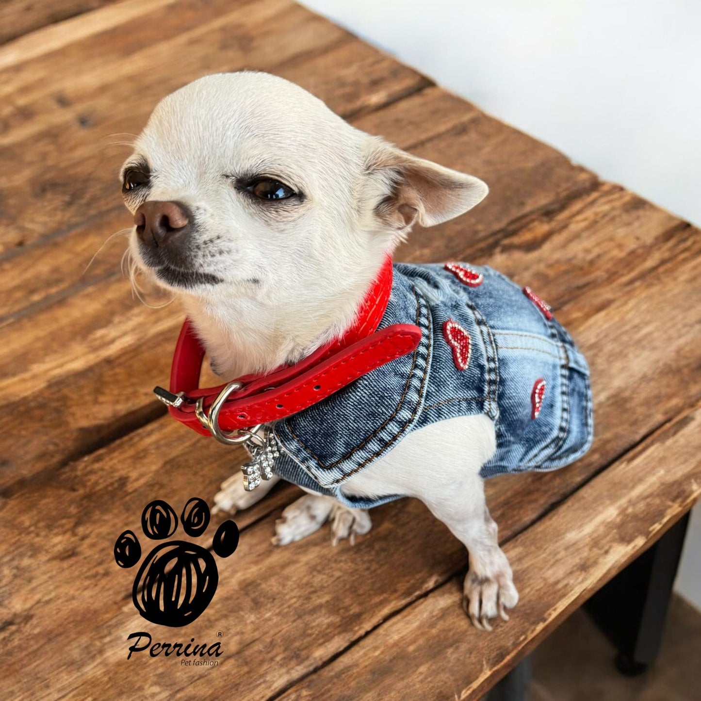 PERRINA chaleco denim con corazones rojos y brillitos para Mascota Perro y Gato, razas chicas medianas y grandes