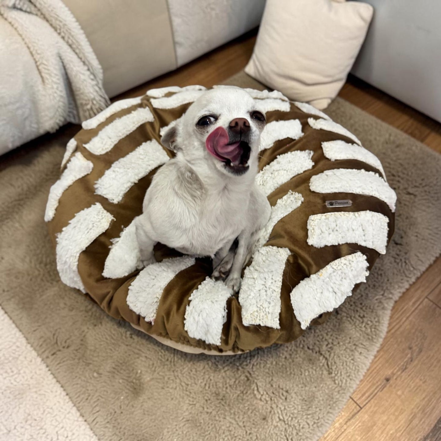 PERRINA cama Para perros en forma de Concha para perros y gatos, razas chicas medianas y grandes, chocolate vainilla y fresa