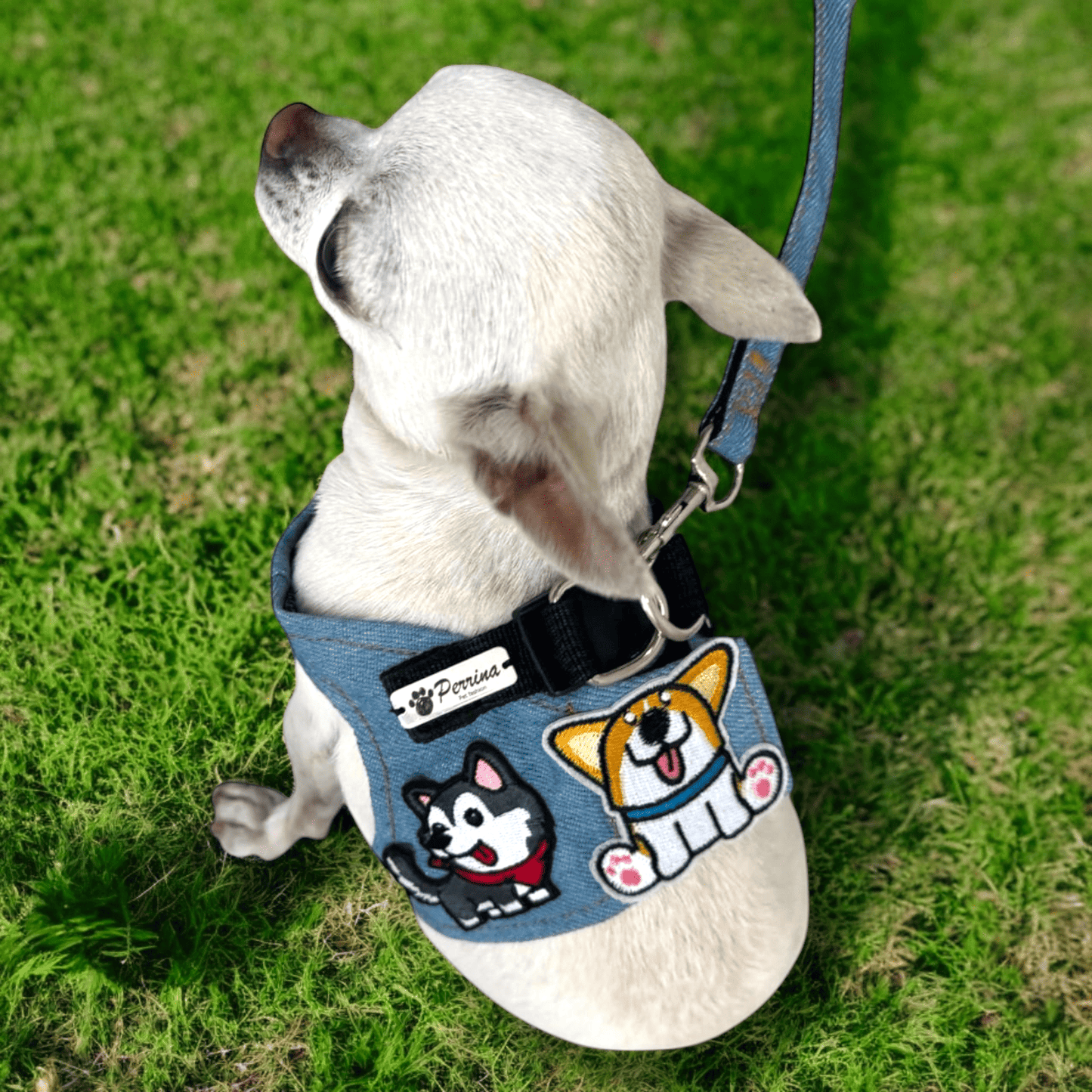 PERRINA arnés con parches de perritos, denim, para perros