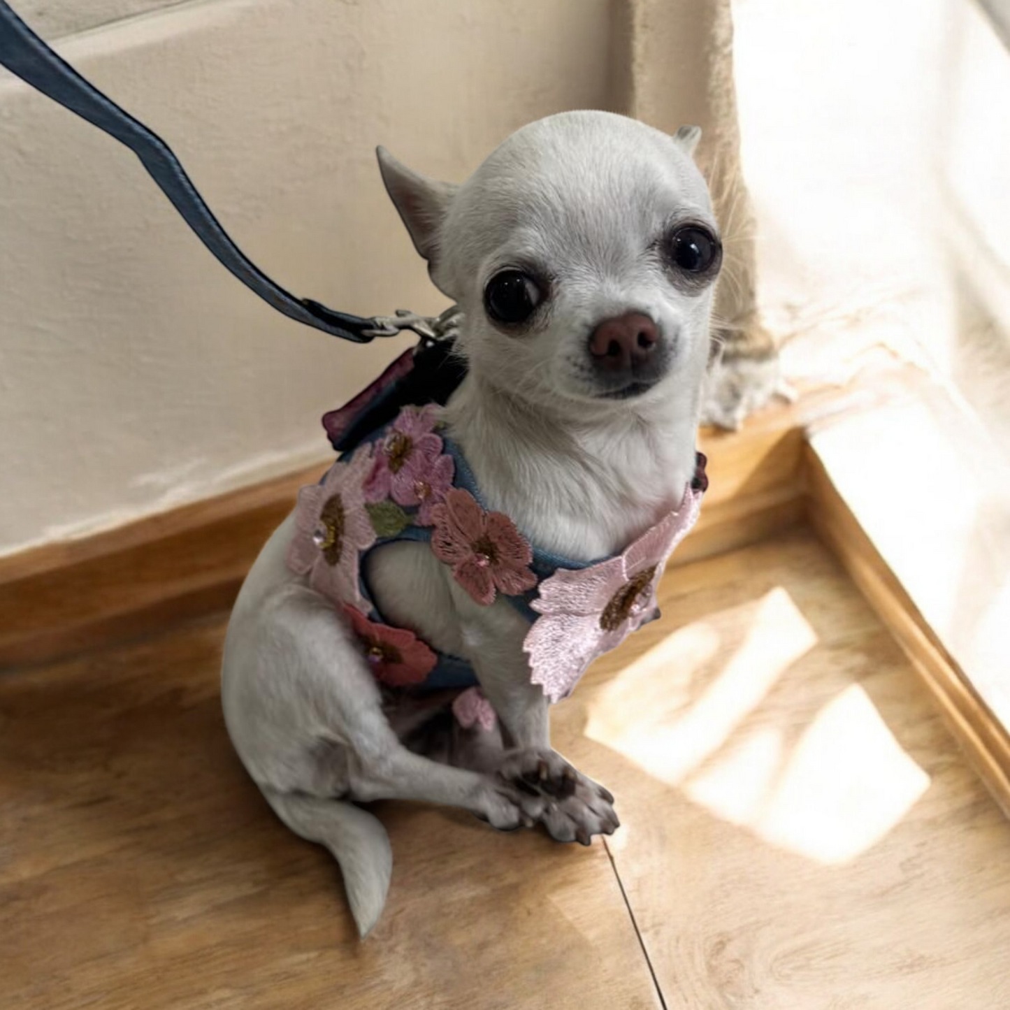 PERRINA arnés de flores denim para perros, cómoda y segura