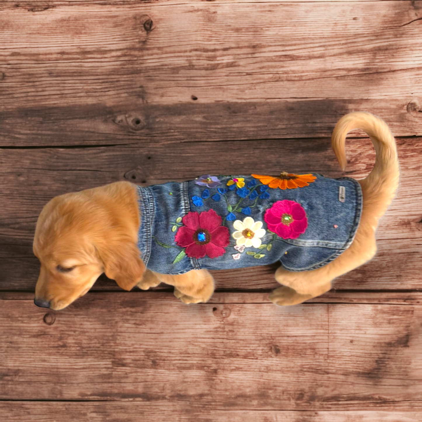 PERRINA chaleco denim de diferentes flores bordadas para perros, razas chicas medianas y grandes