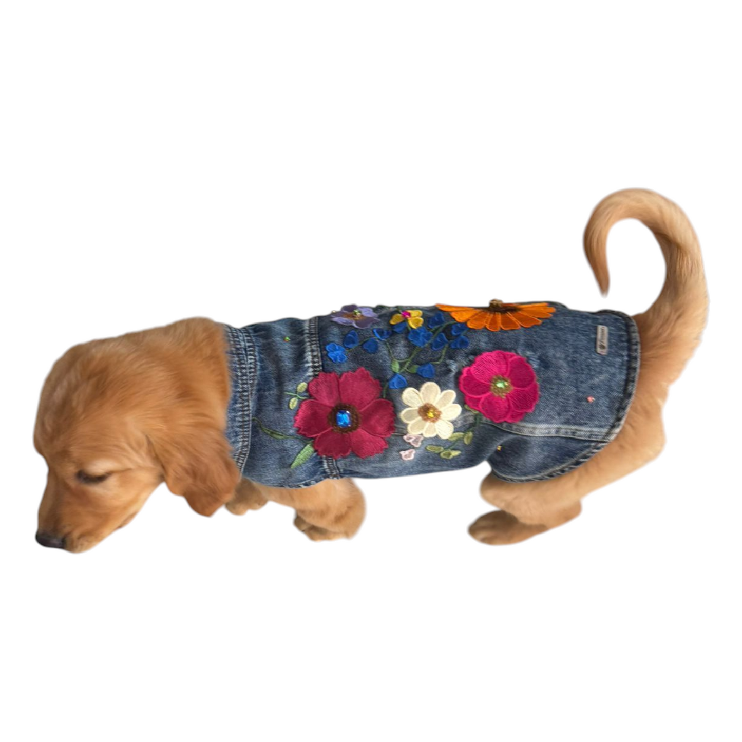 PERRINA chaleco denim de diferentes flores bordadas para perros, razas chicas medianas y grandes