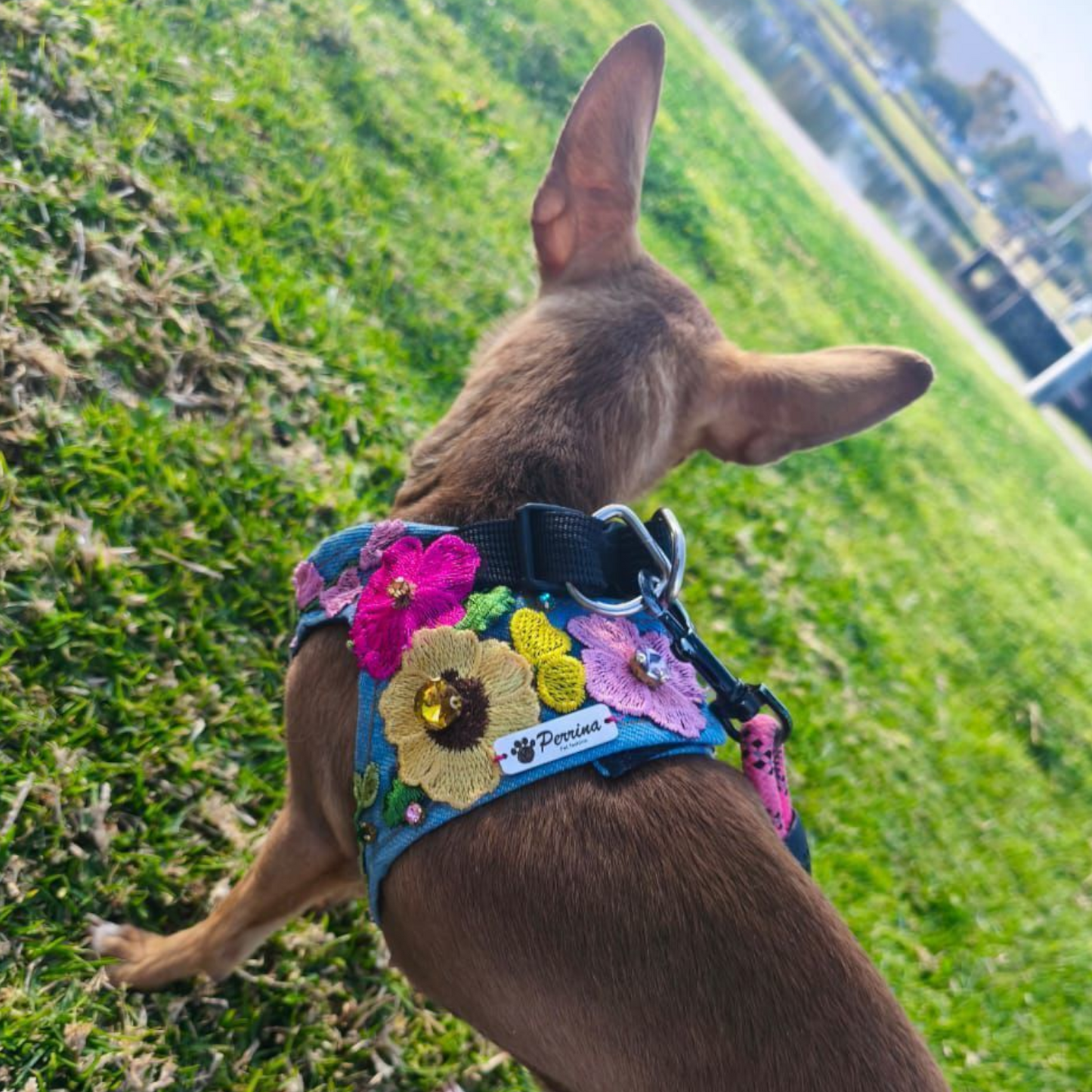 PERRINA arnés floral para mascotas razas chicas medianas y grandes de