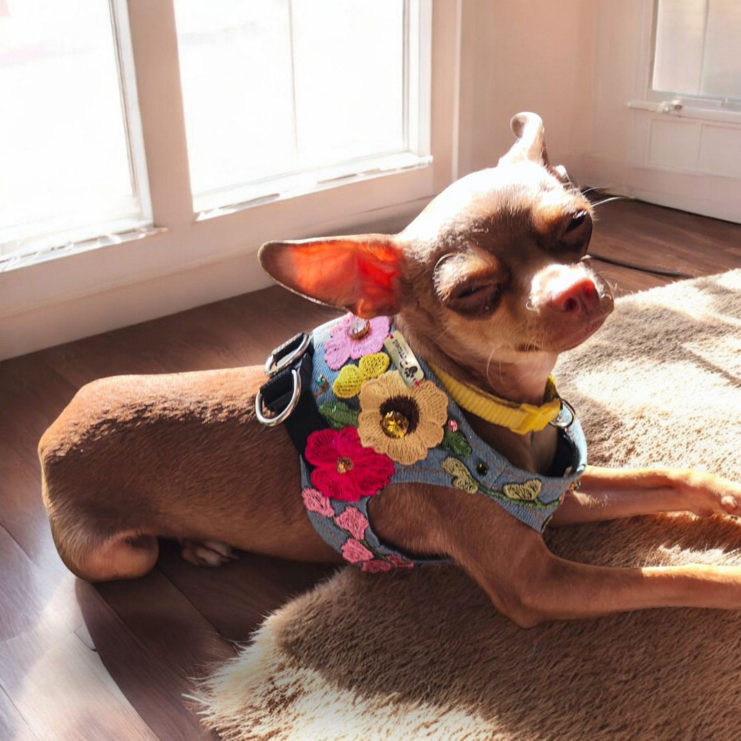 PERRINA arnés floral para mascotas razas chicas medianas y grandes de