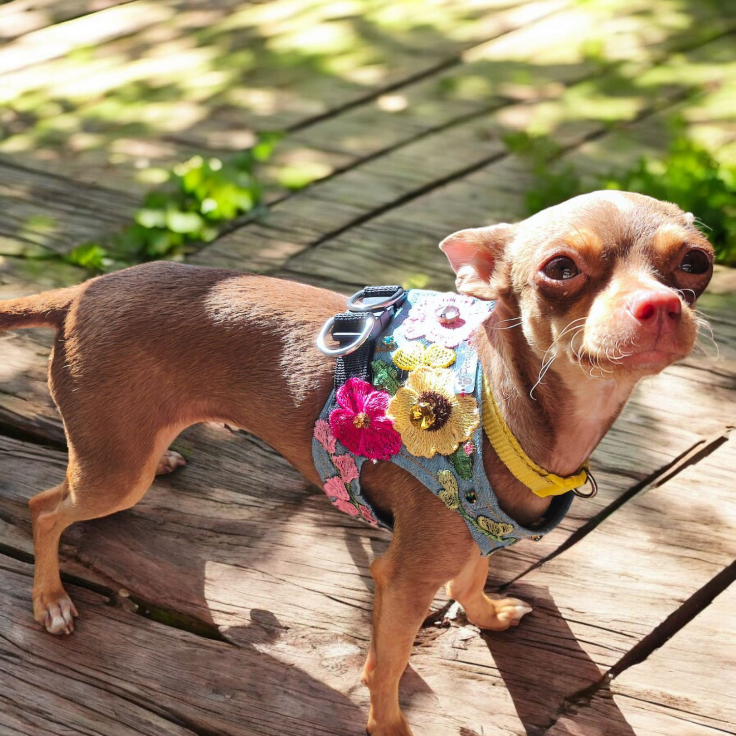 PERRINA arnés floral para mascotas razas chicas medianas y grandes de