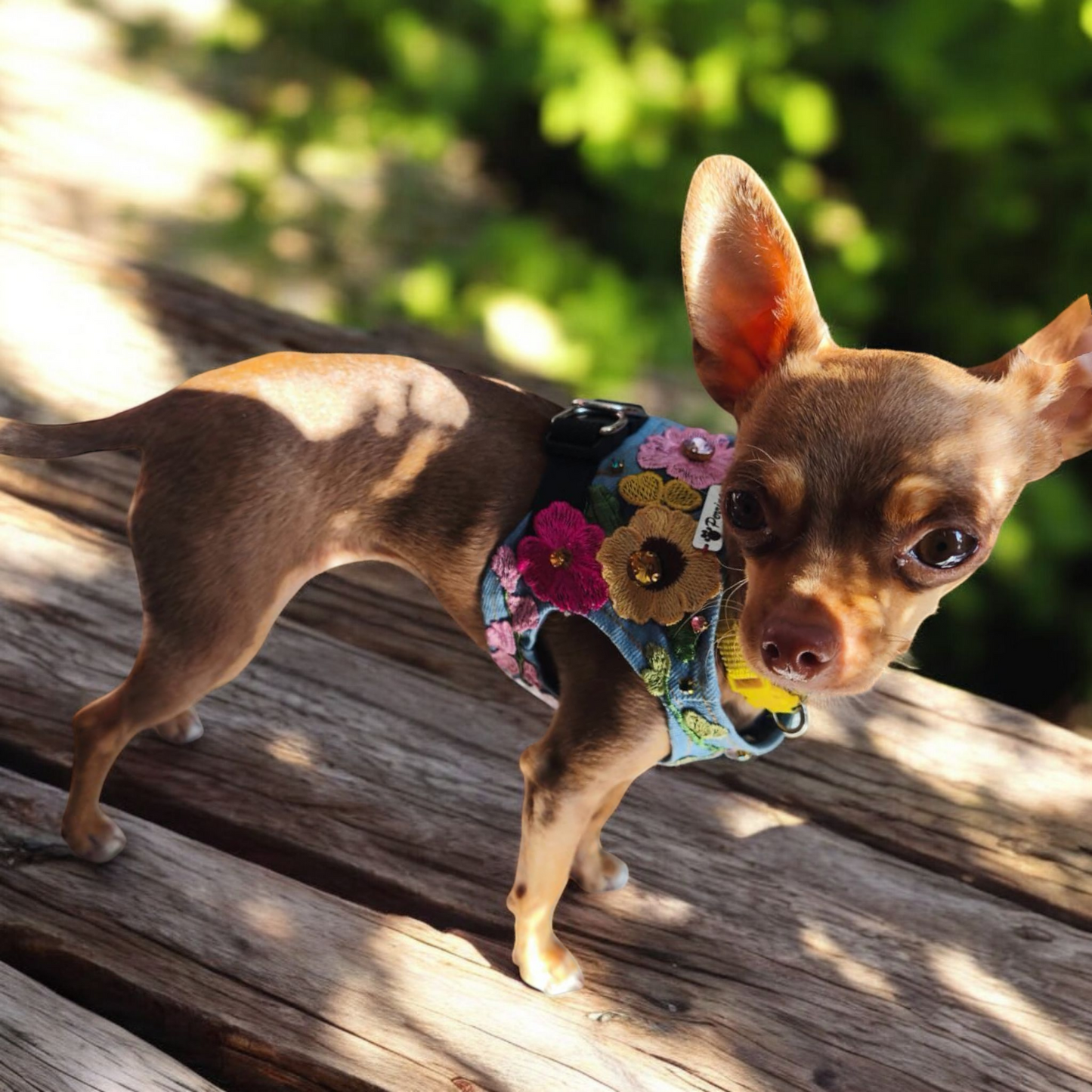 PERRINA arnés floral para mascotas razas chicas medianas y grandes de