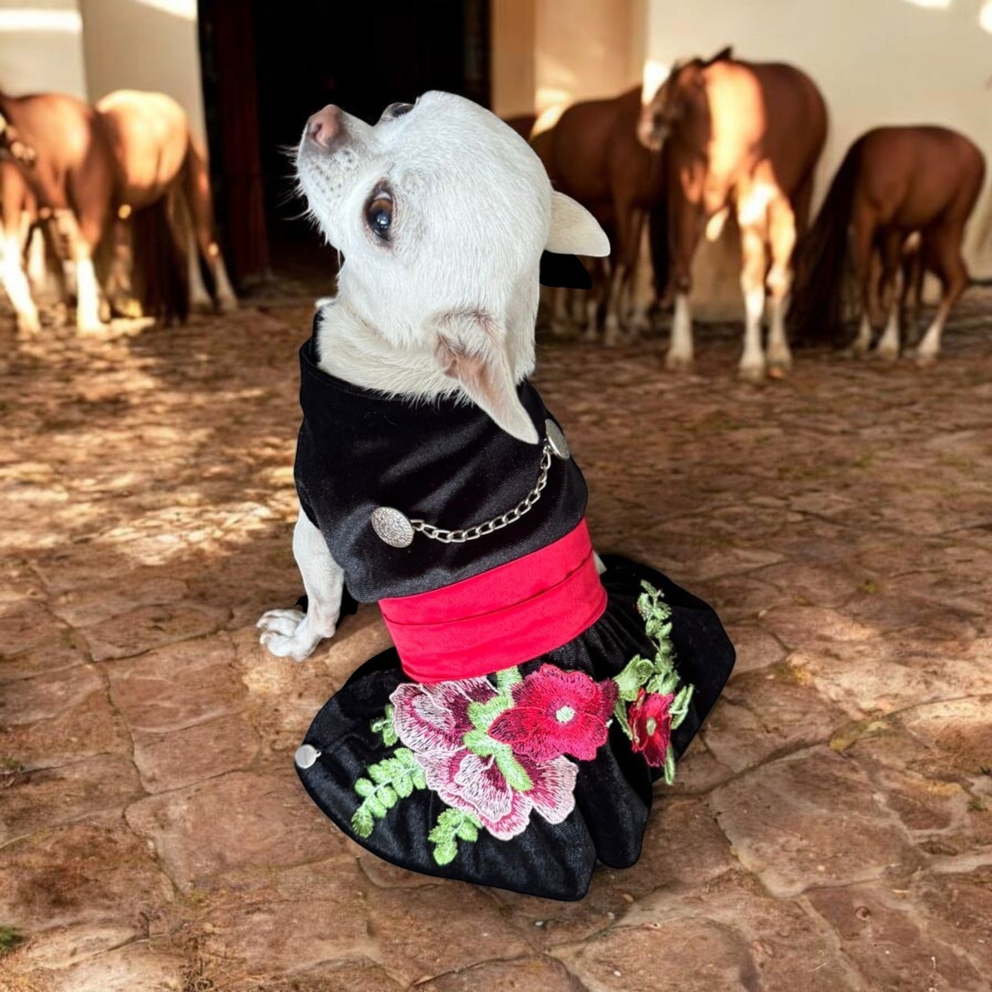 Perrina vestido estilo charro con herrajes para mascotas perros y gatos razas chicas medianas y grandes