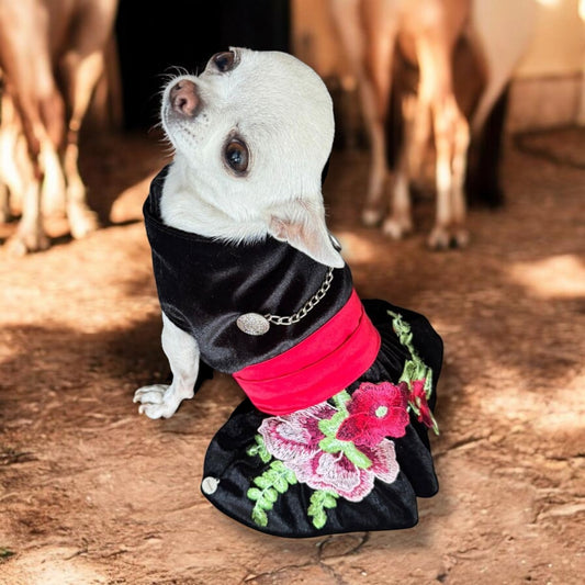 Perrina vestido estilo charro con herrajes para mascotas perros y gatos razas chicas medianas y grandes