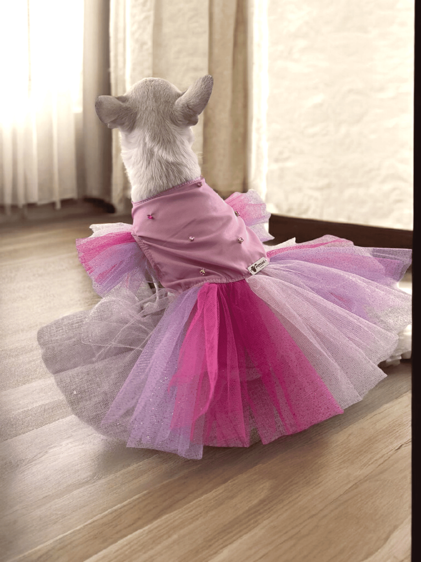 PERRINA vestido con Tul multicolor para mascotas, perros y gatos razas chicas medianas y grandes