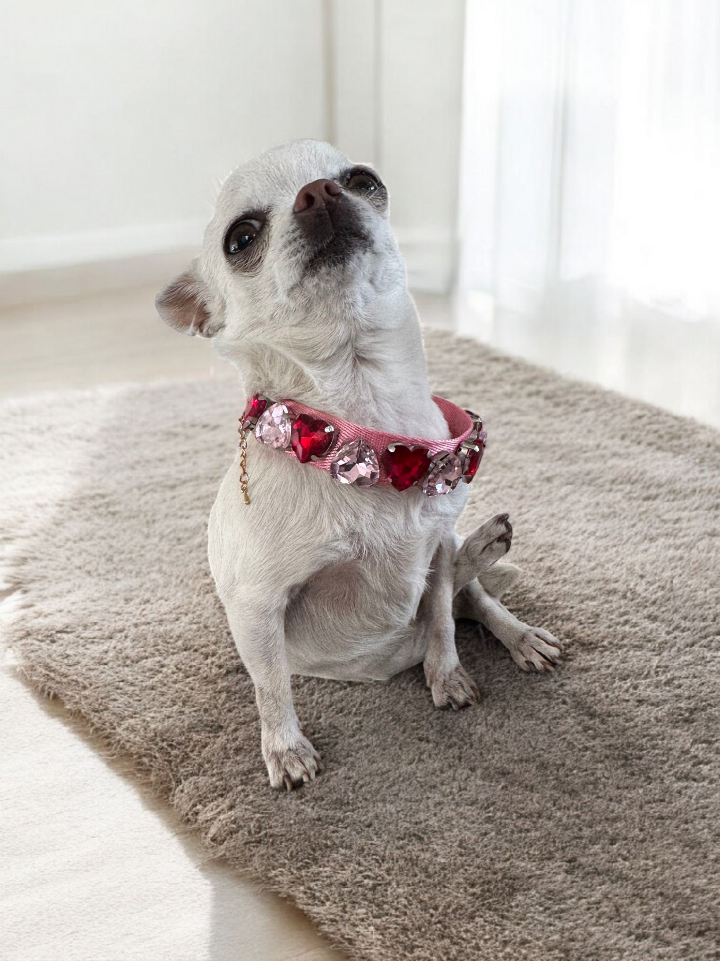 PERRINA collar de corazones para Mascota, cómodo y atractivo