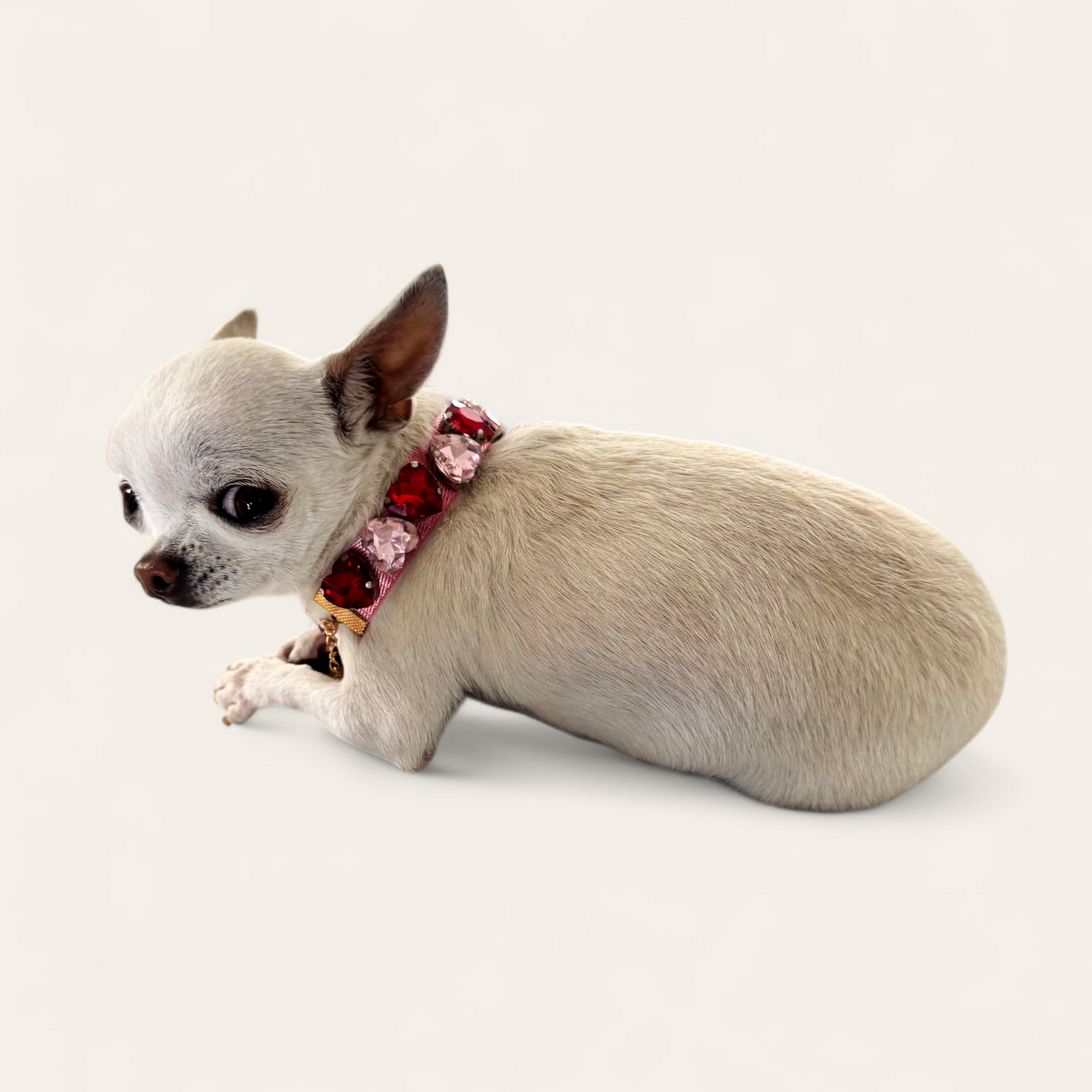 PERRINA collar de corazones para Mascota, cómodo y atractivo