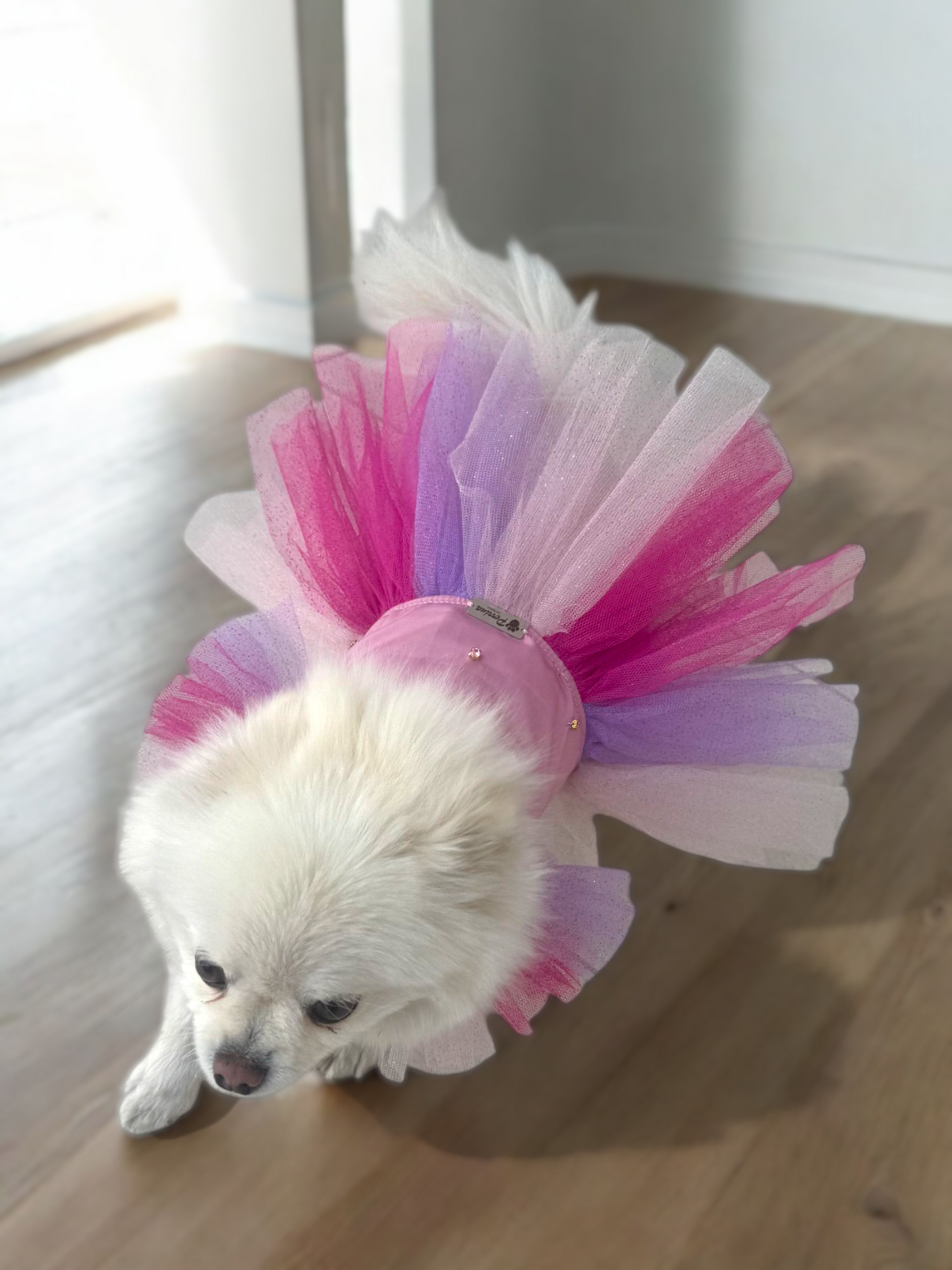 PERRINA vestido con Tul multicolor para mascotas, perros y gatos razas chicas medianas y grandes