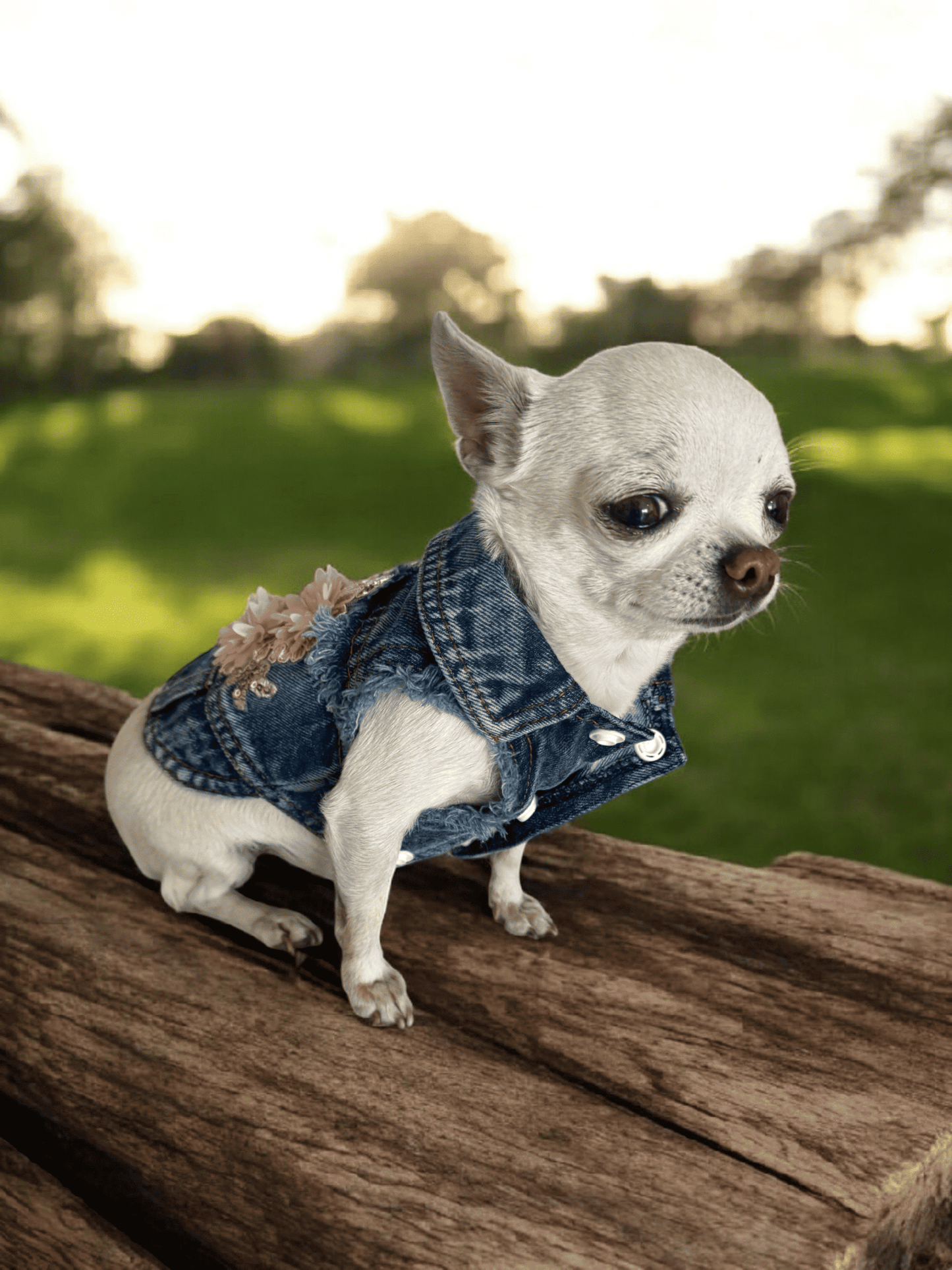 PERRINA chaleco denim con flores bordadas para perros y gatos razas chicas medianas y grandes