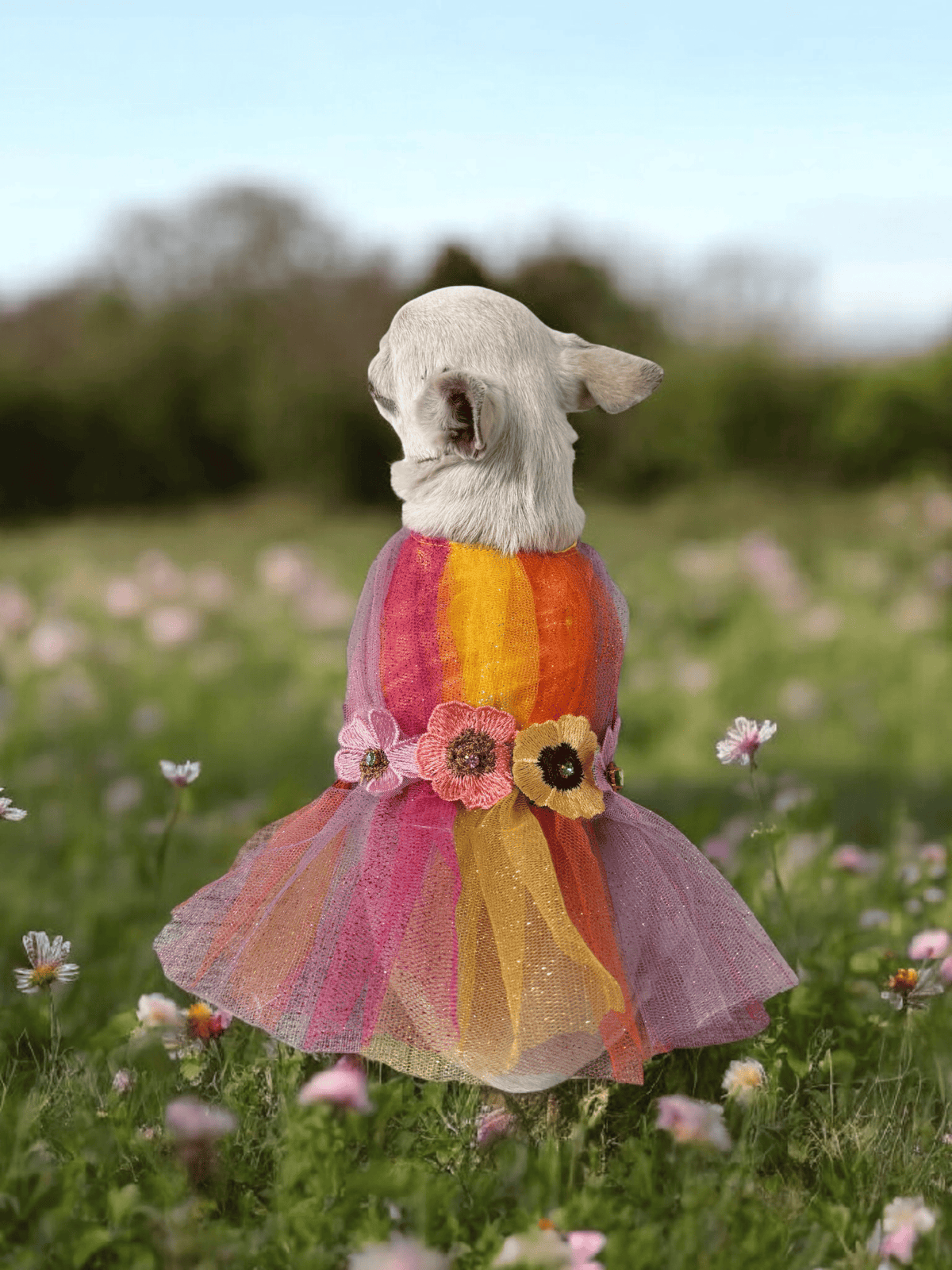 PERRINA vestido Arcoíris Floral para perros